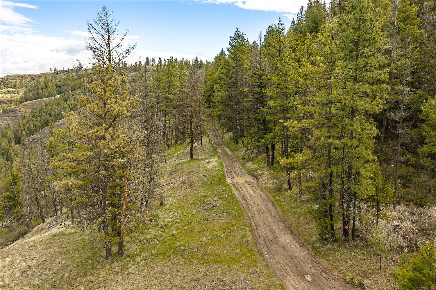 Tract 231 Hawk Creek - Photo 9