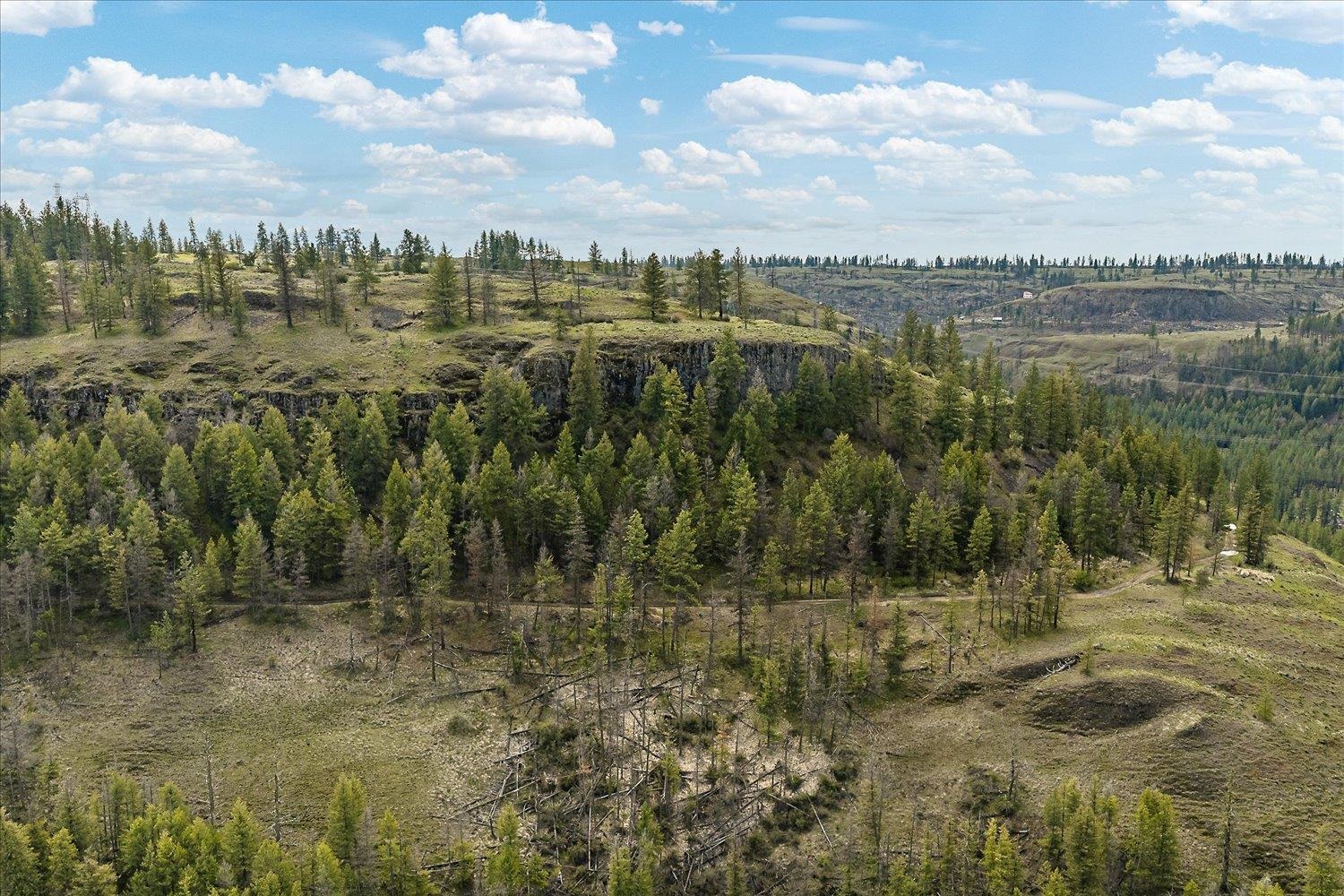 Tract 231 Hawk Creek - Photo 10