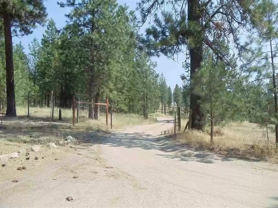 TBD N Corkscrew Canyon Rd - Photo 1