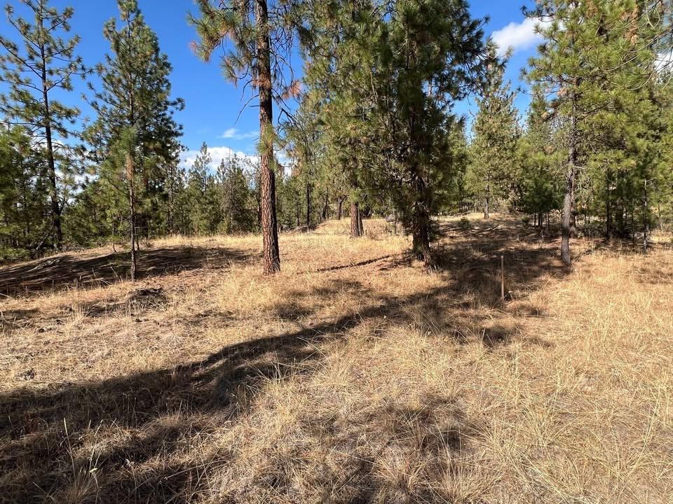 TBD N Corkscrew Canyon Rd - Photo 2