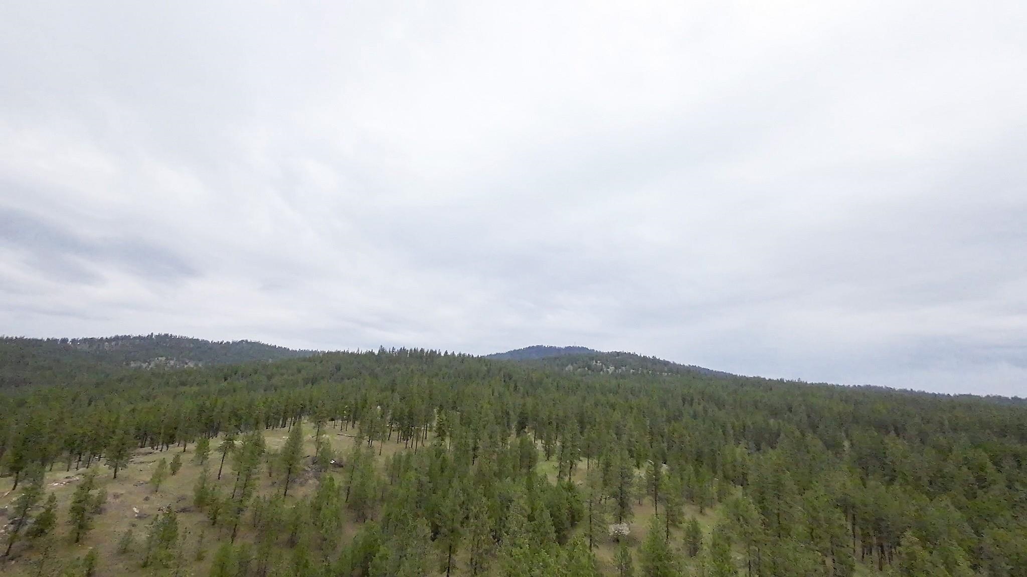 TBD N Corkscrew Canyon Rd - Photo 11
