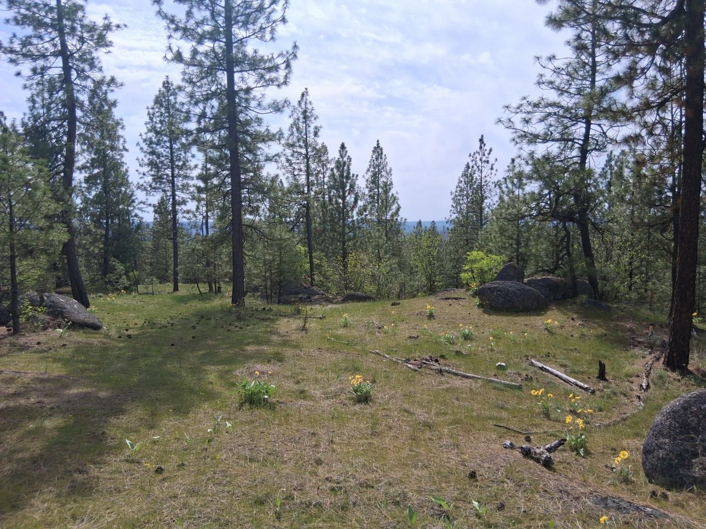 TBD N Corkscrew Canyon Rd - Photo 3