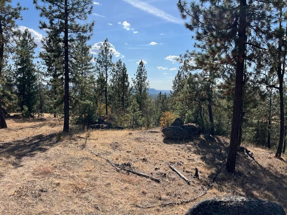 TBD N Corkscrew Canyon Rd - Photo 5