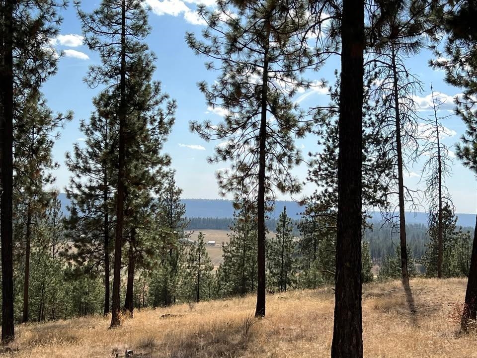 TBD N Corkscrew Canyon Rd - Photo 7