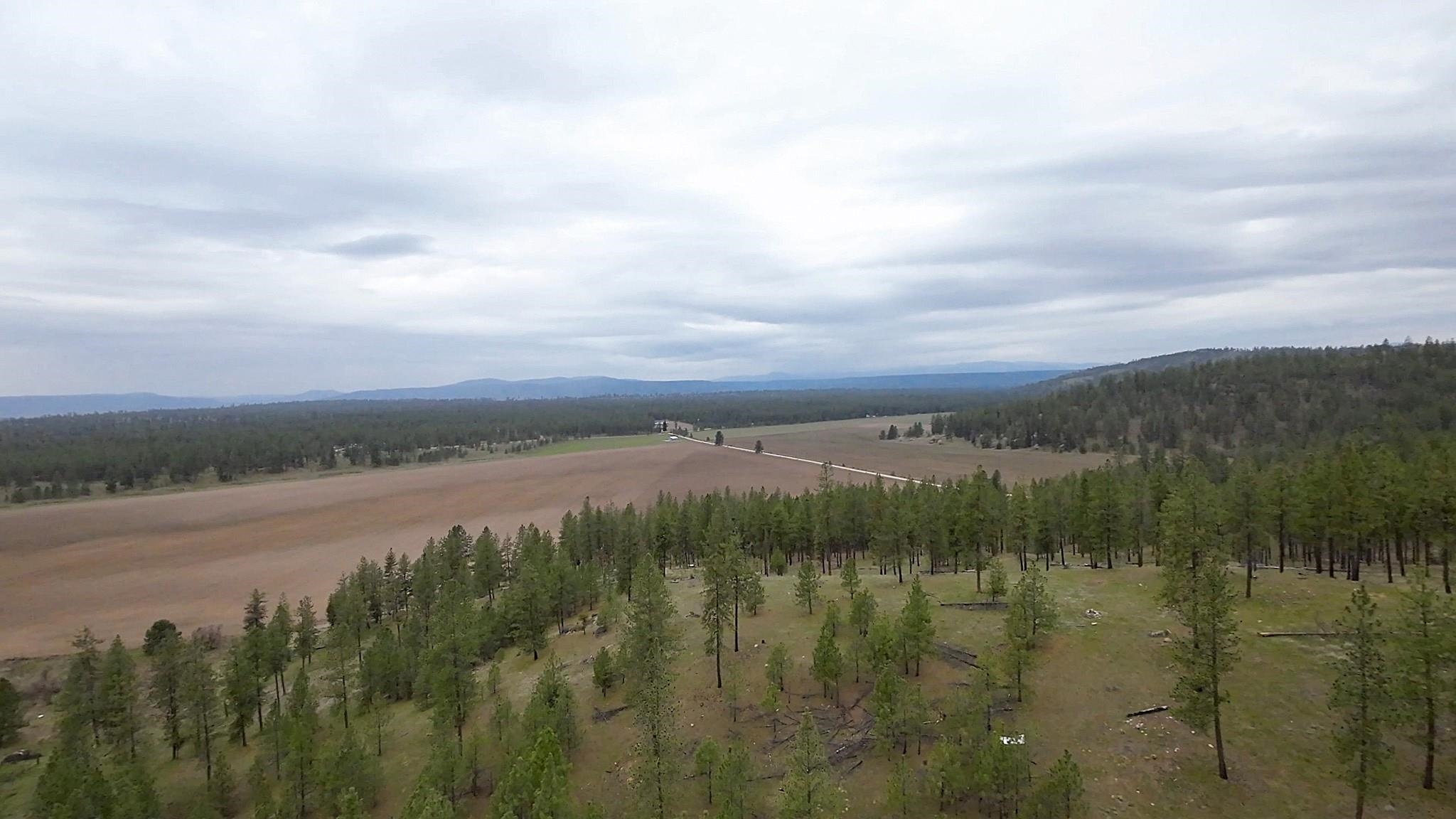 TBD N Corkscrew Canyon Rd - Photo 11