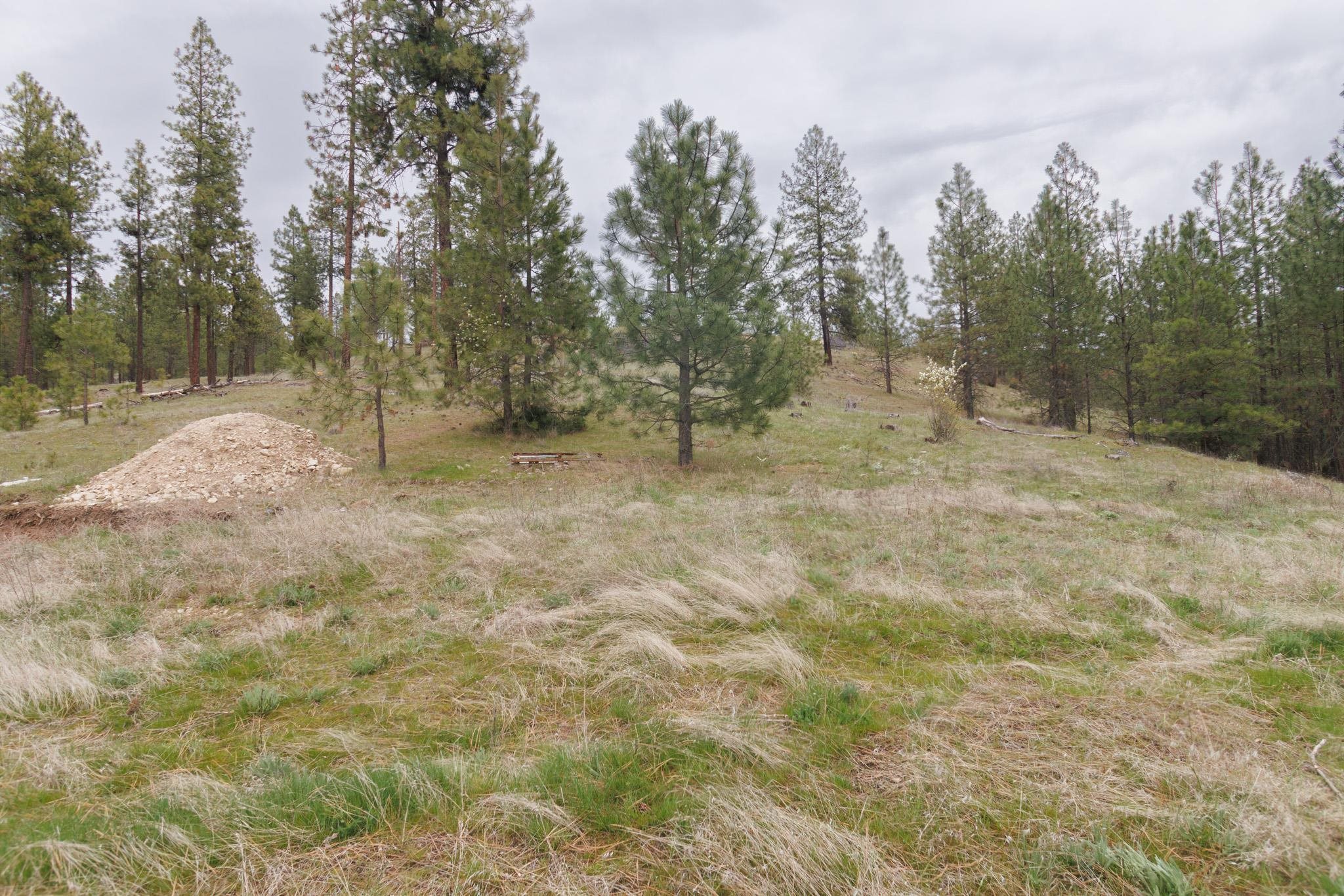 TBD N Corkscrew Canyon Rd - Photo 6