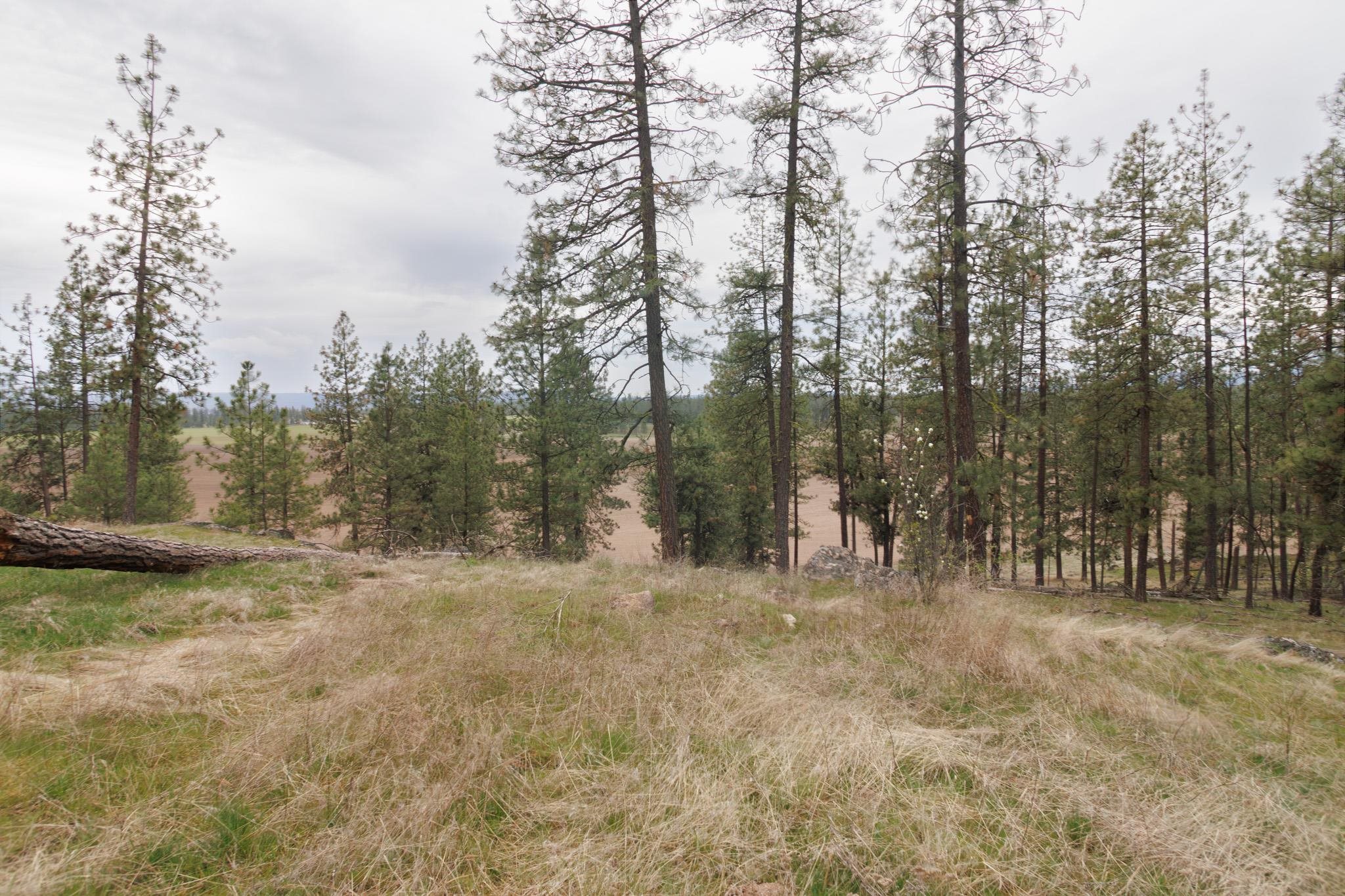TBD N Corkscrew Canyon Rd - Photo 8