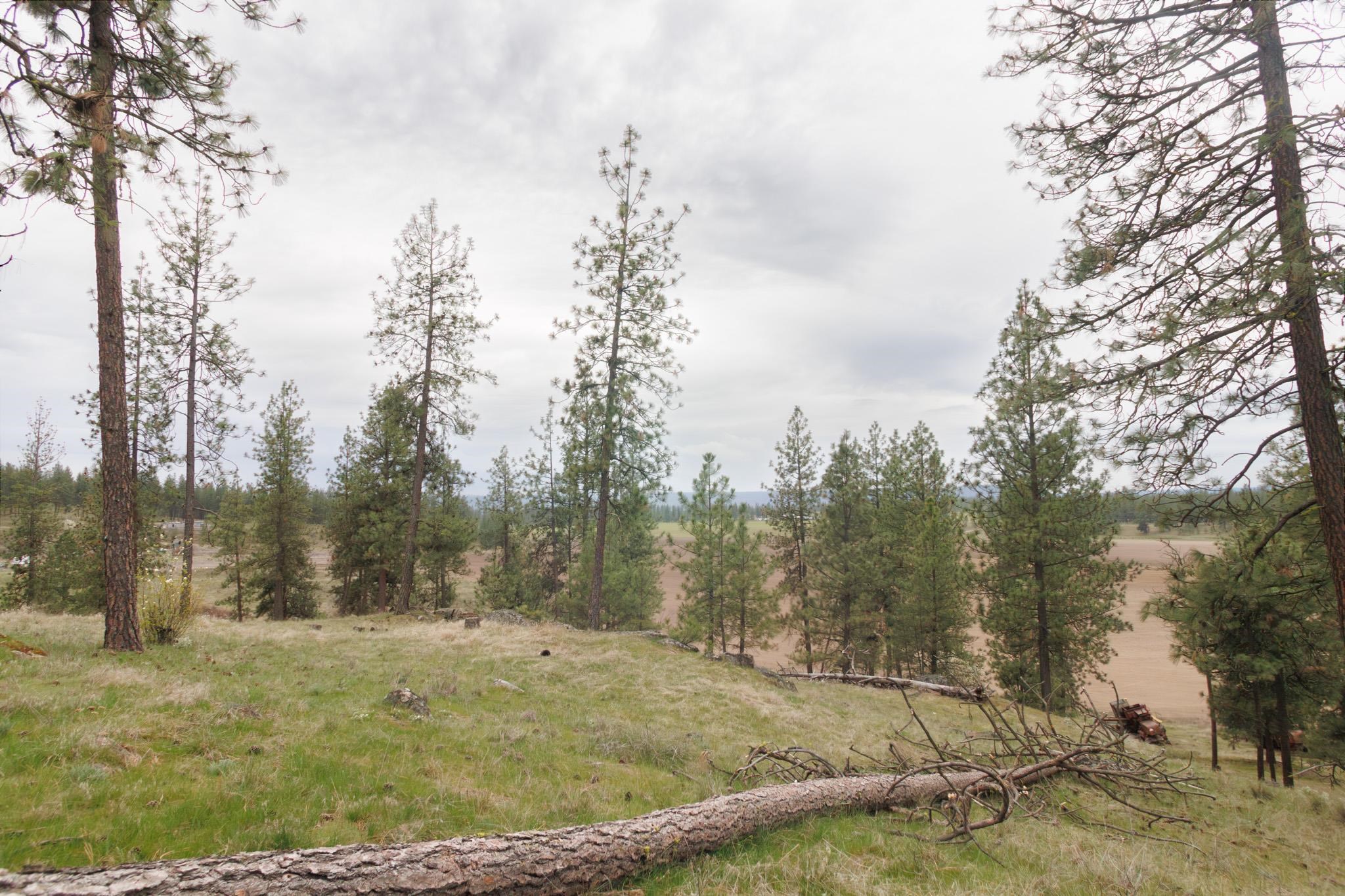 TBD N Corkscrew Canyon Rd - Photo 9