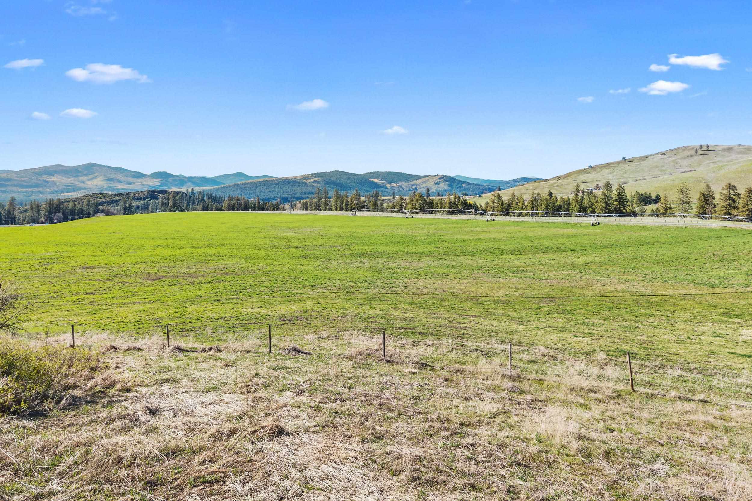 37XX Cedonia -Addy Rd - Photo 11