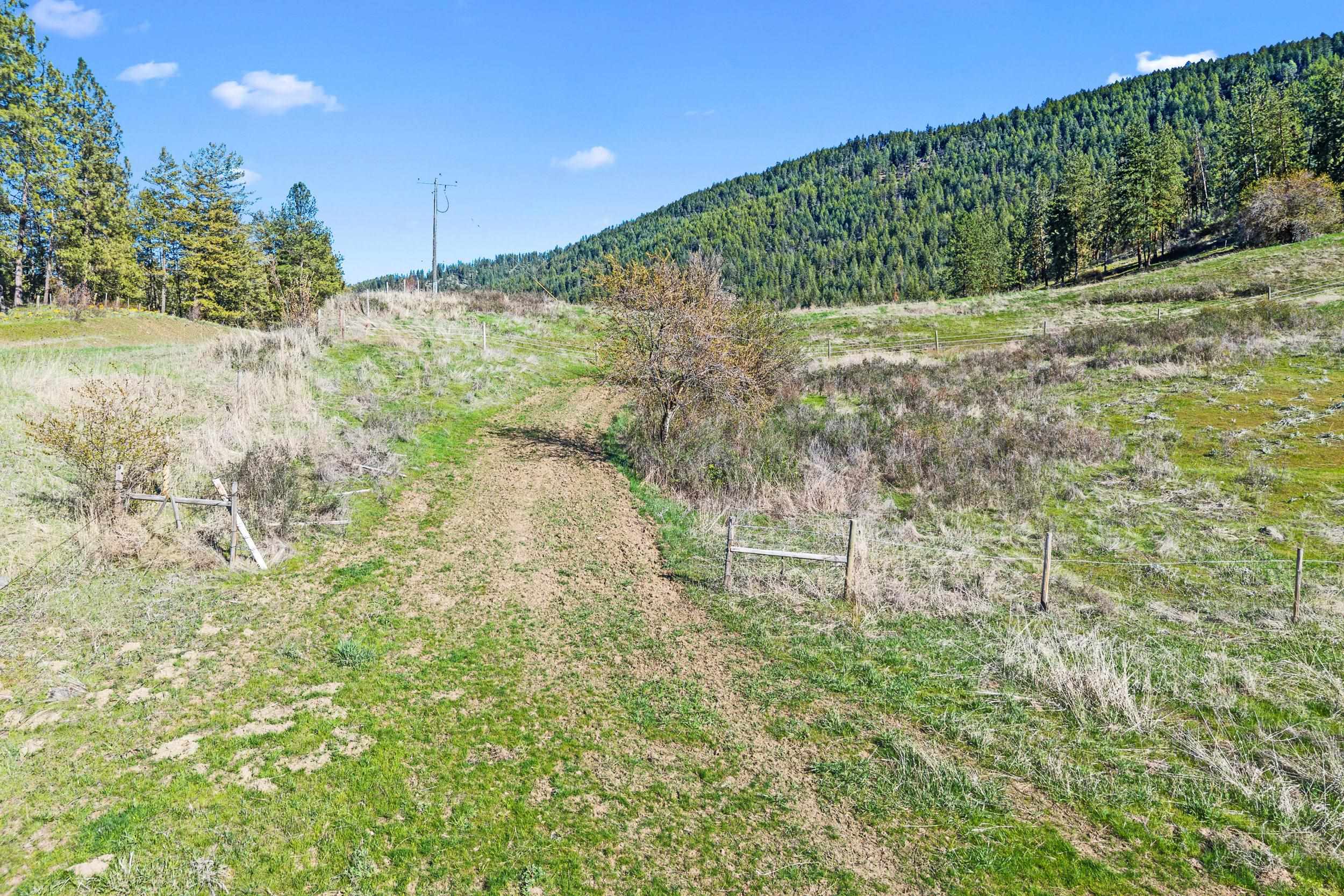 37XX Cedonia -Addy Rd - Photo 13