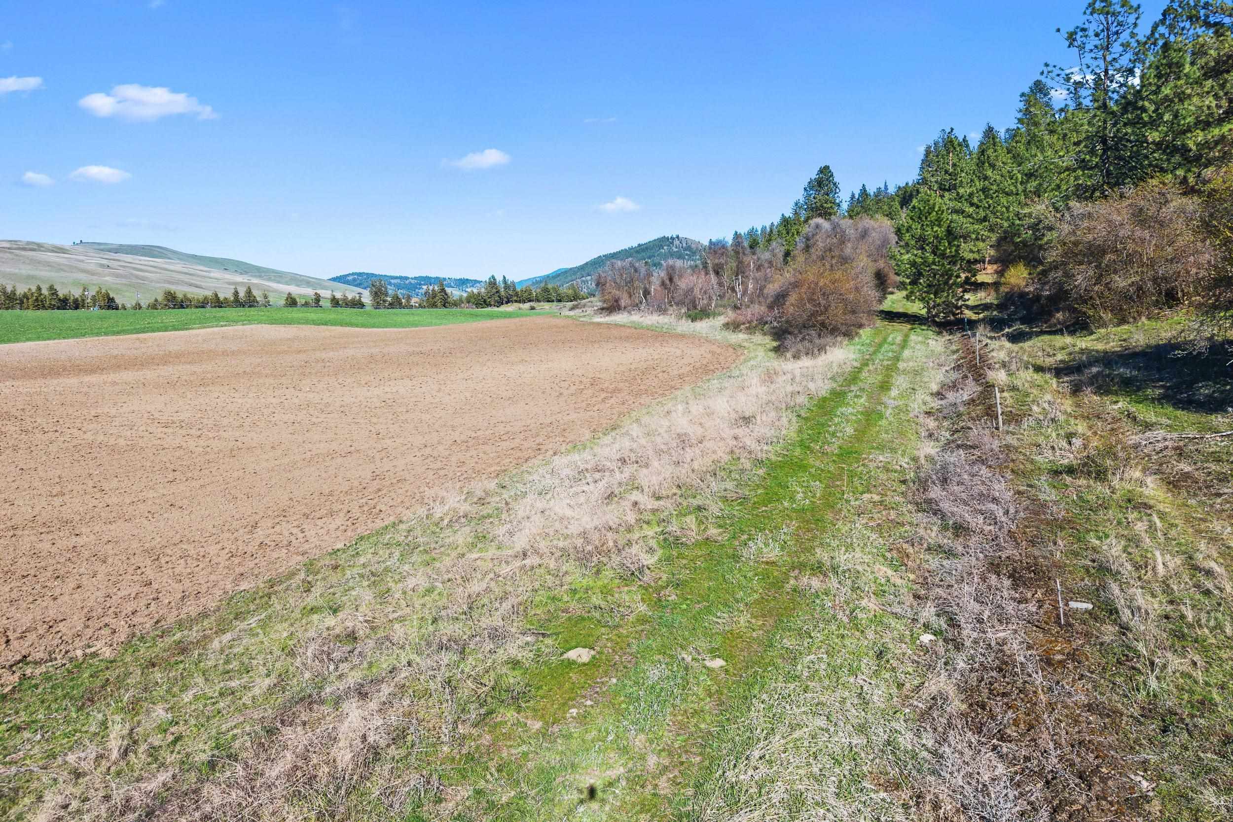37XX Cedonia -Addy Rd - Photo 14