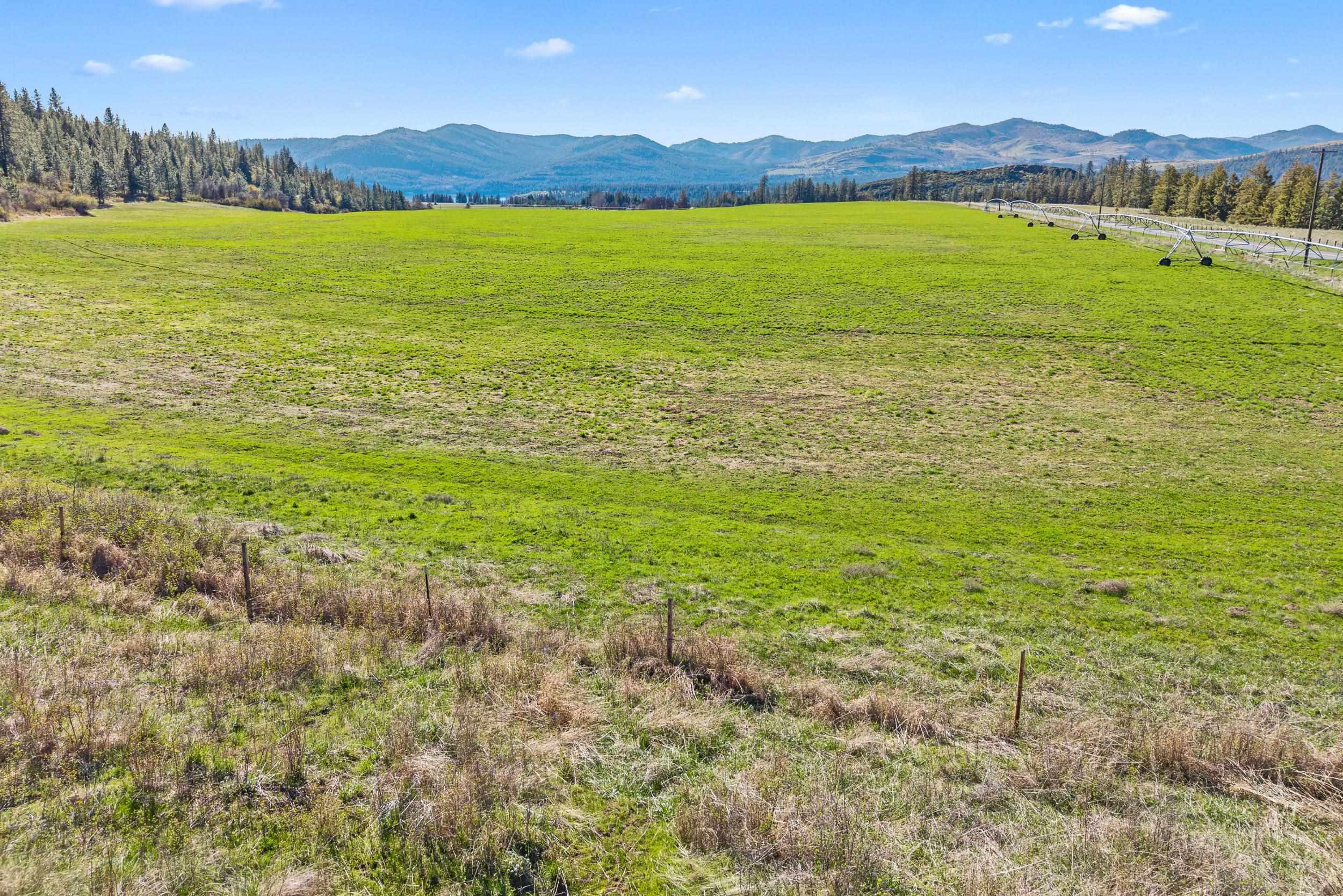 37XX Cedonia -Addy Rd - Photo 7