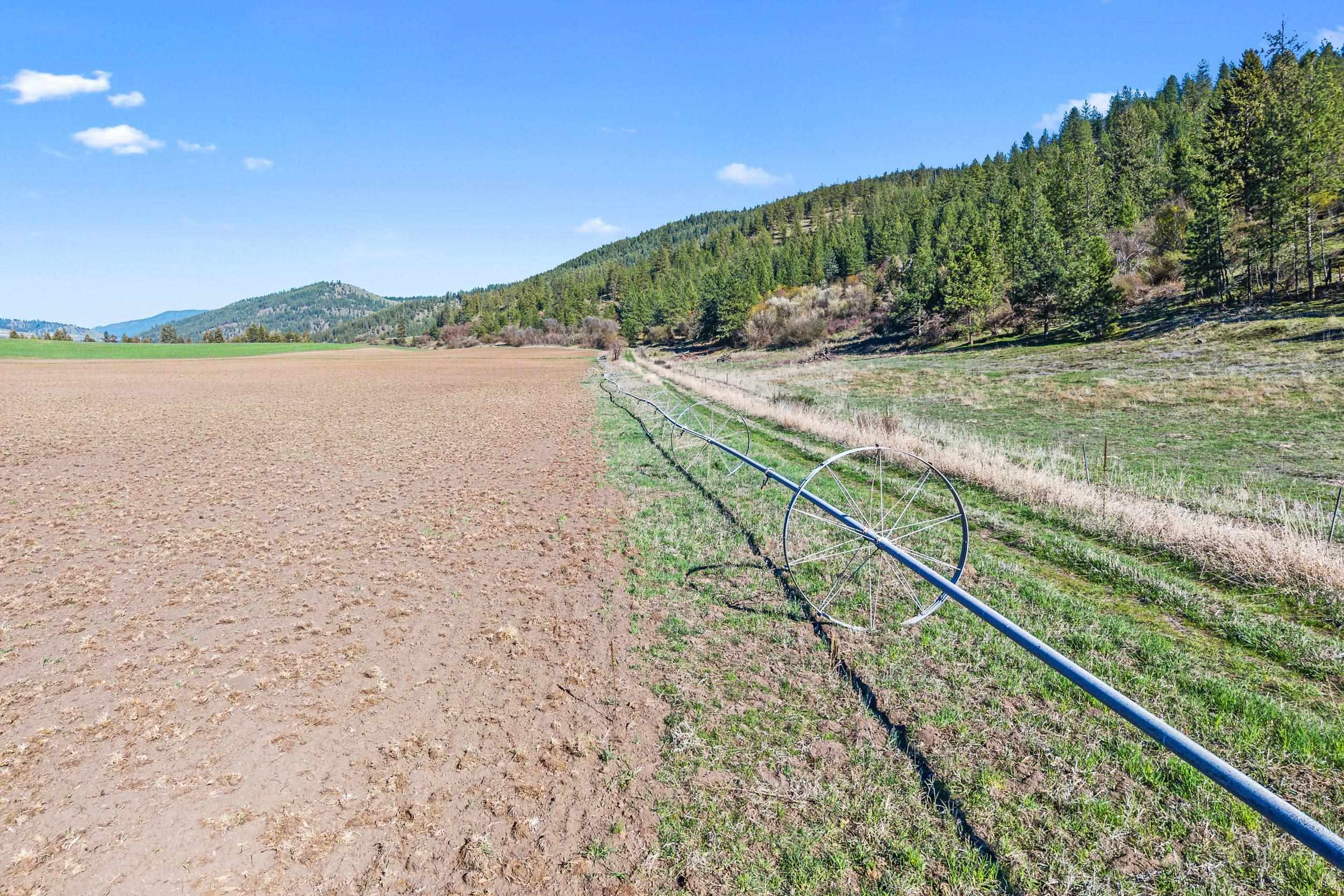 37XX Cedonia -Addy Rd - Photo 9