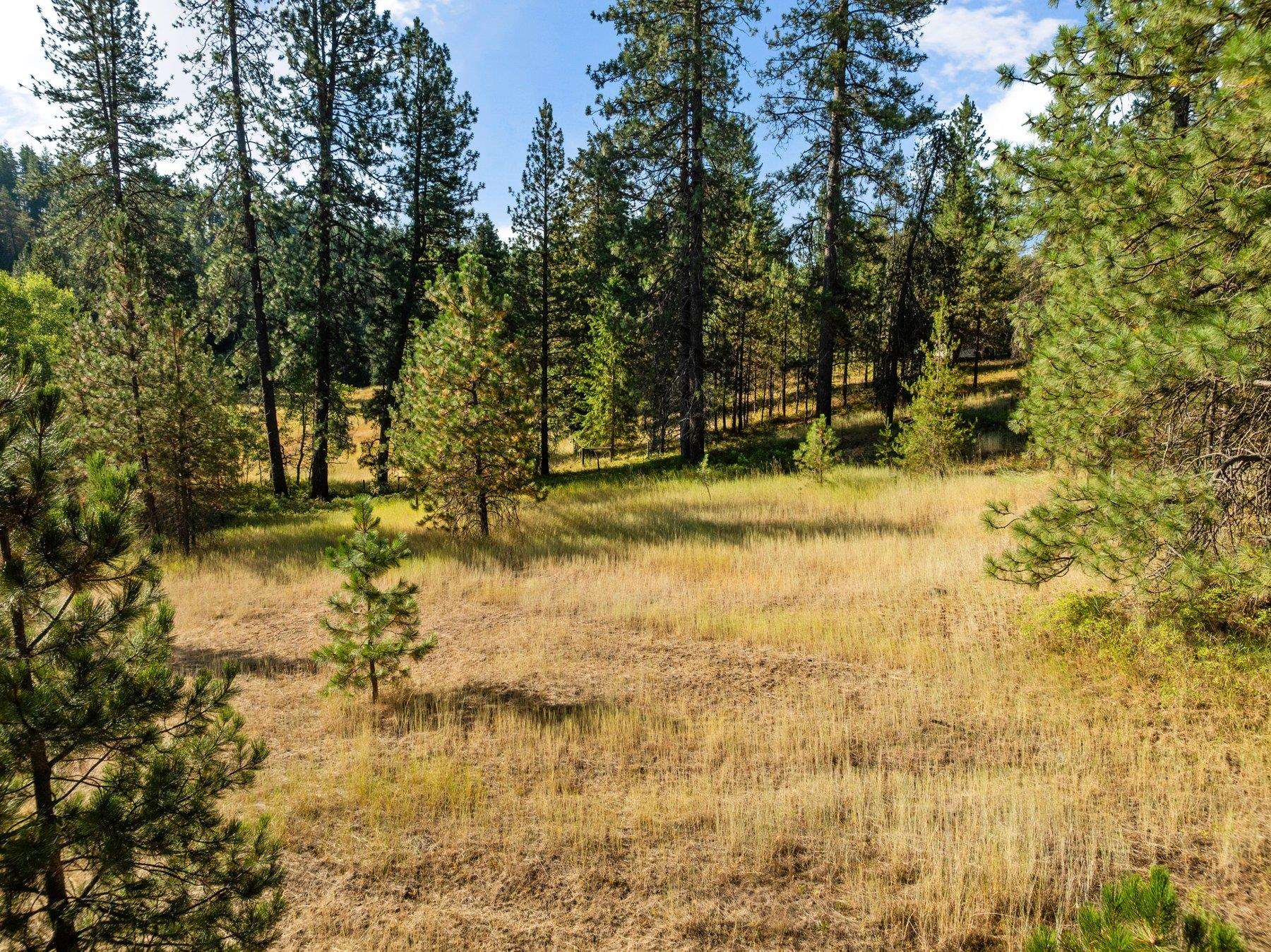 NNA N Elk-Chattaroy Rd - Photo 12