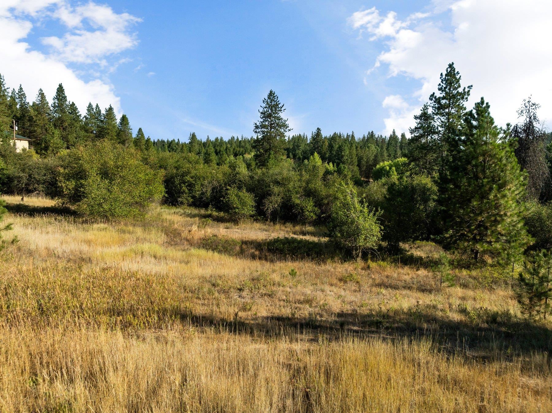 NNA N Elk-Chattaroy Rd - Photo 13