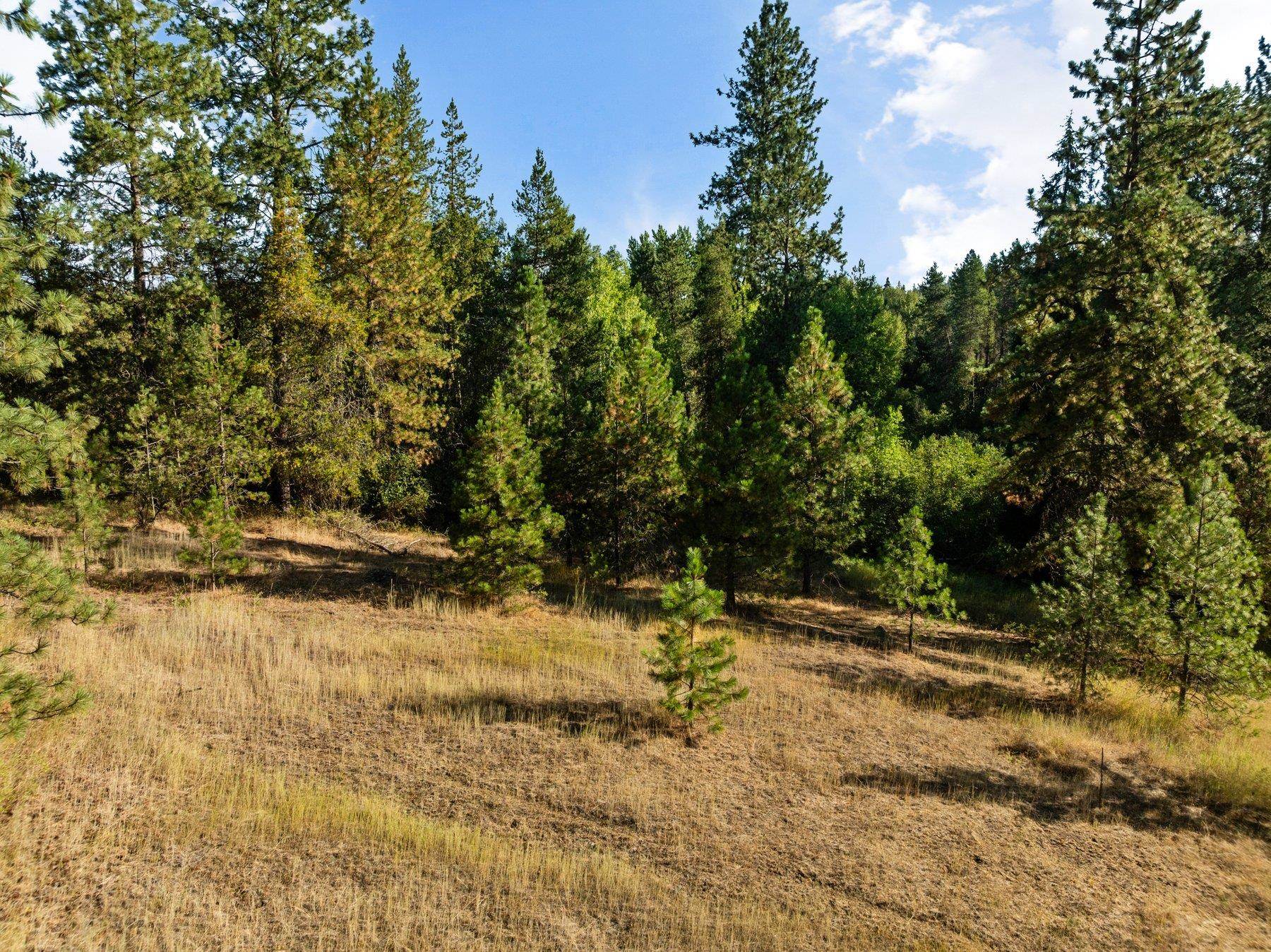 NNA N Elk-Chattaroy Rd - Photo 14
