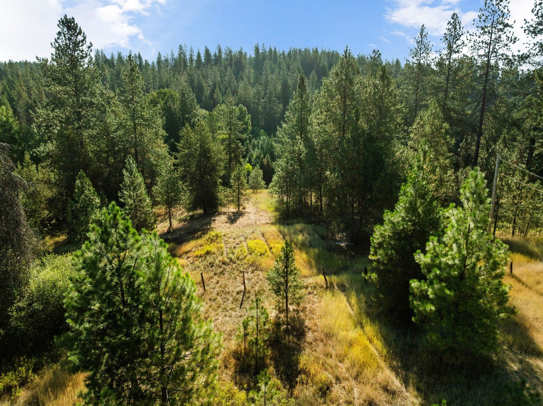 NNA N Elk-Chattaroy Rd - Photo 15