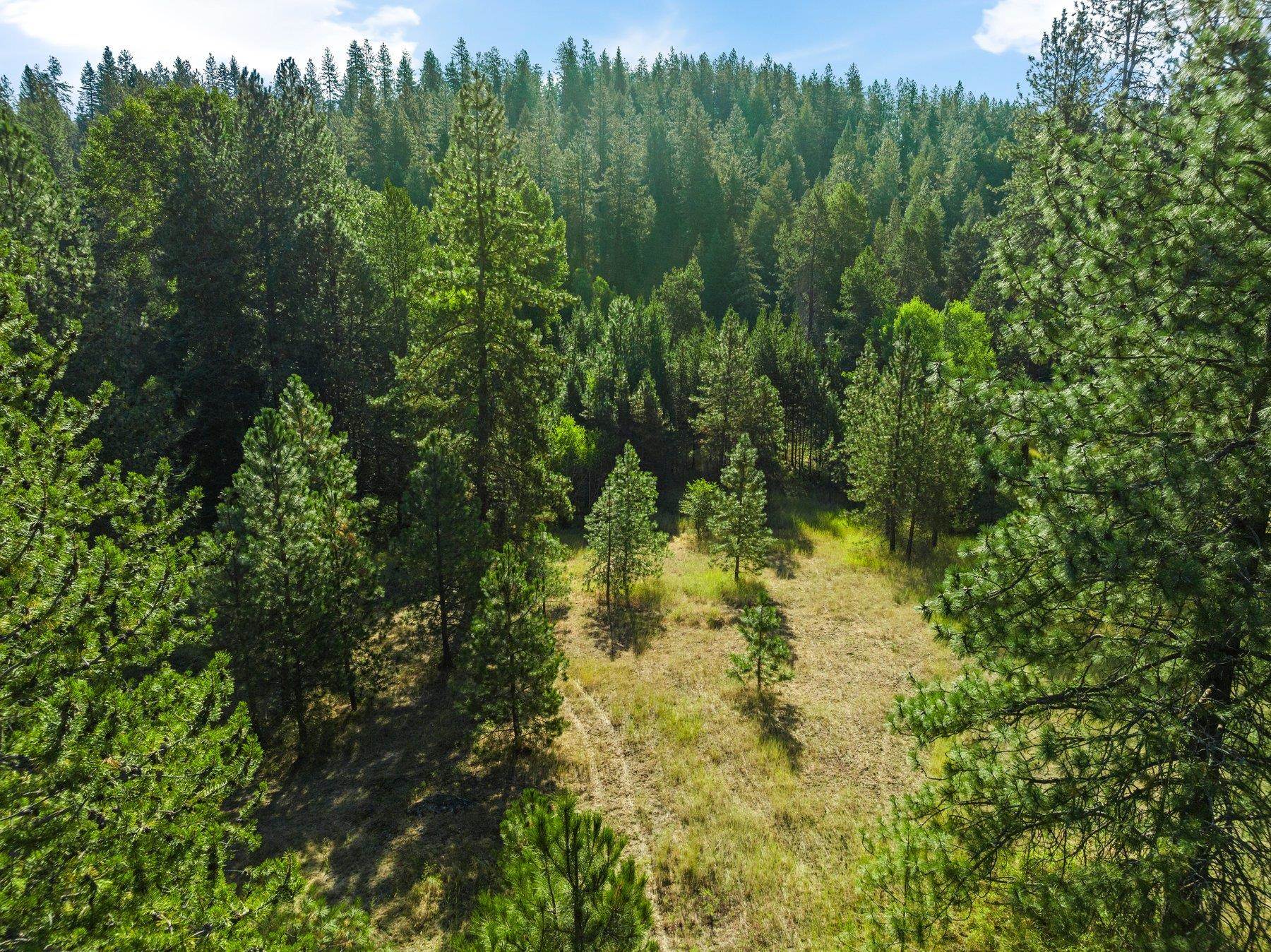 NNA N Elk-Chattaroy Rd - Photo 16