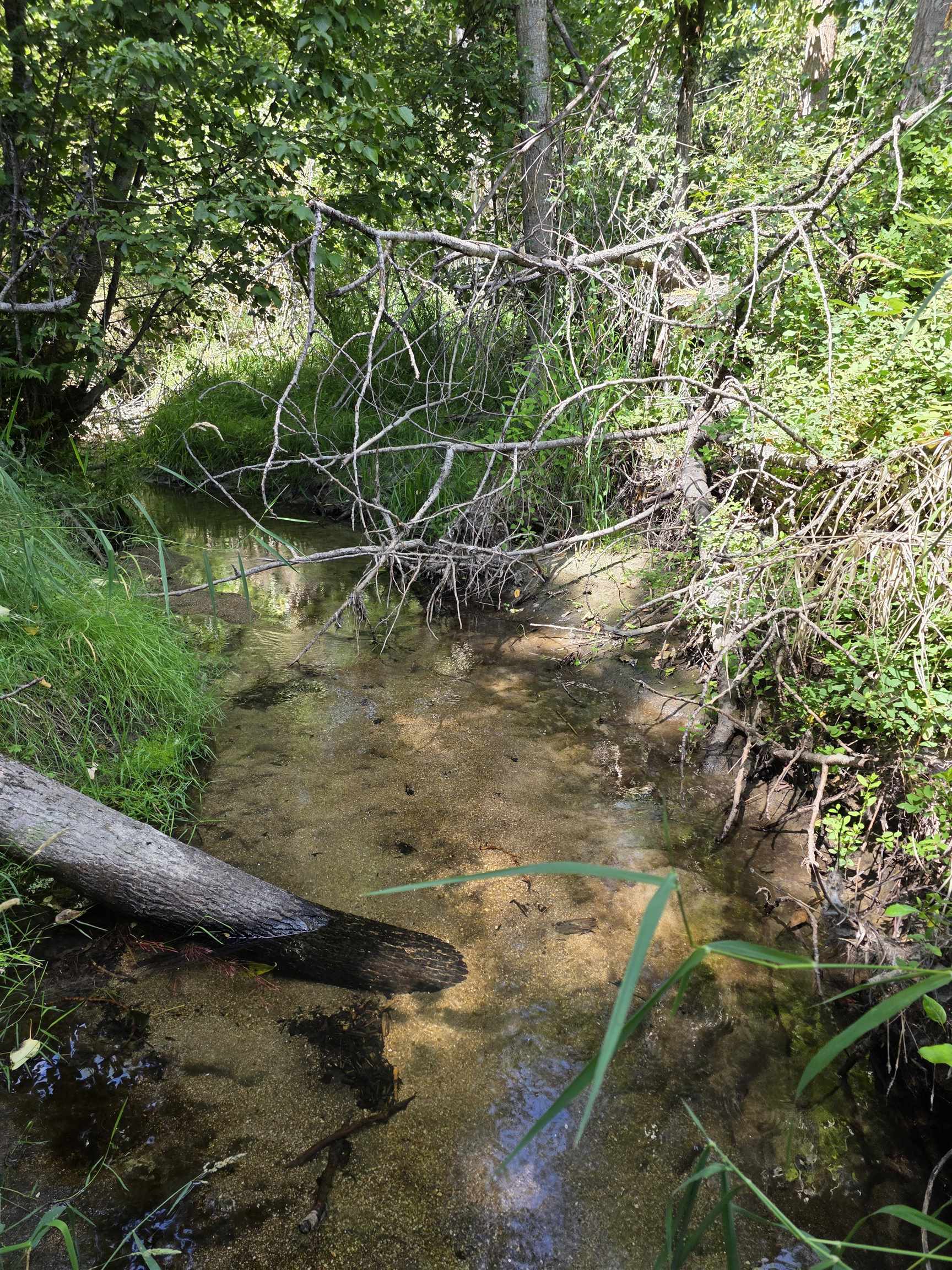 NNA N Elk-Chattaroy Rd - Photo 3