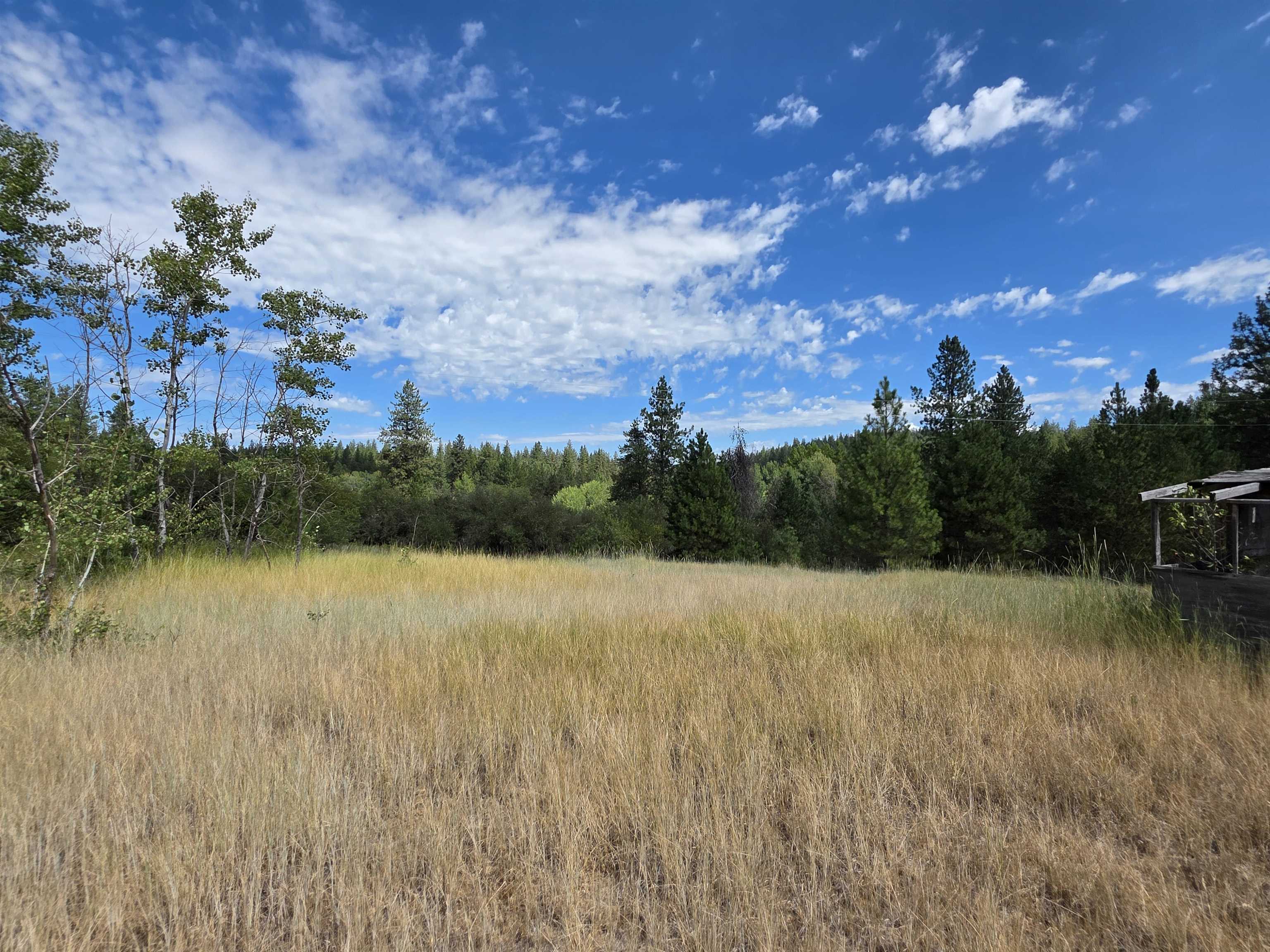 NNA N Elk-Chattaroy Rd - Photo 8