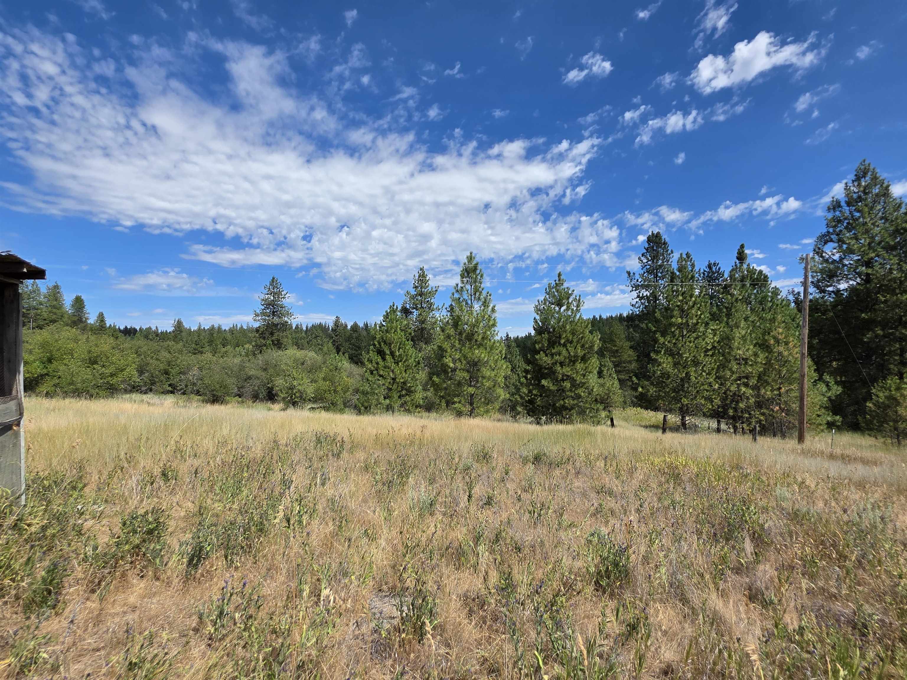 NNA N Elk-Chattaroy Rd - Photo 9