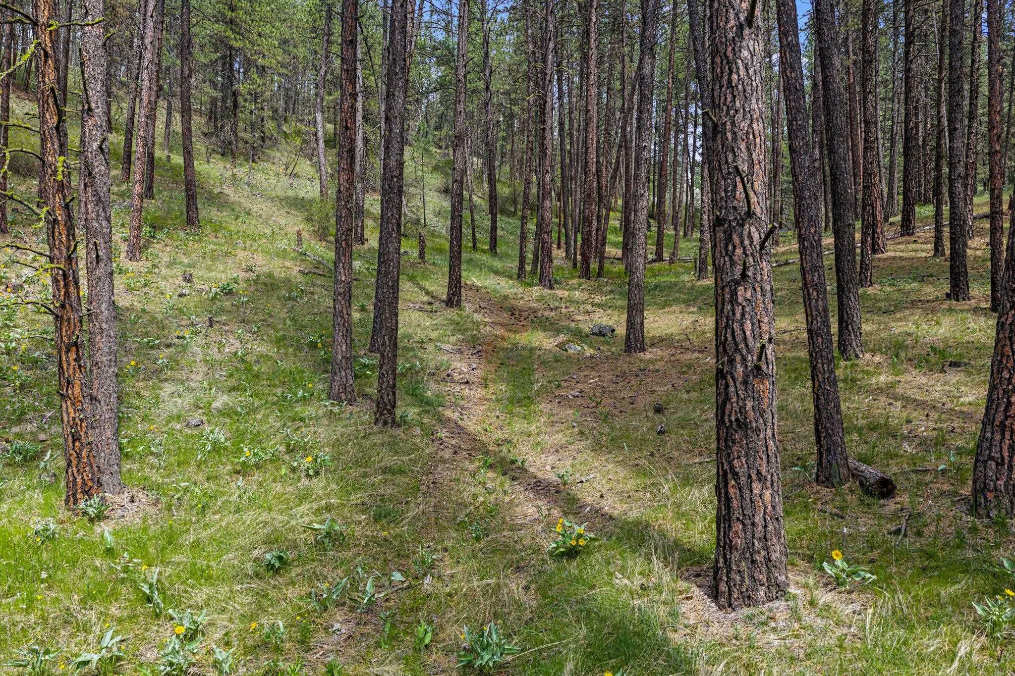 10709 S Hangman Valley Rd - Photo 38