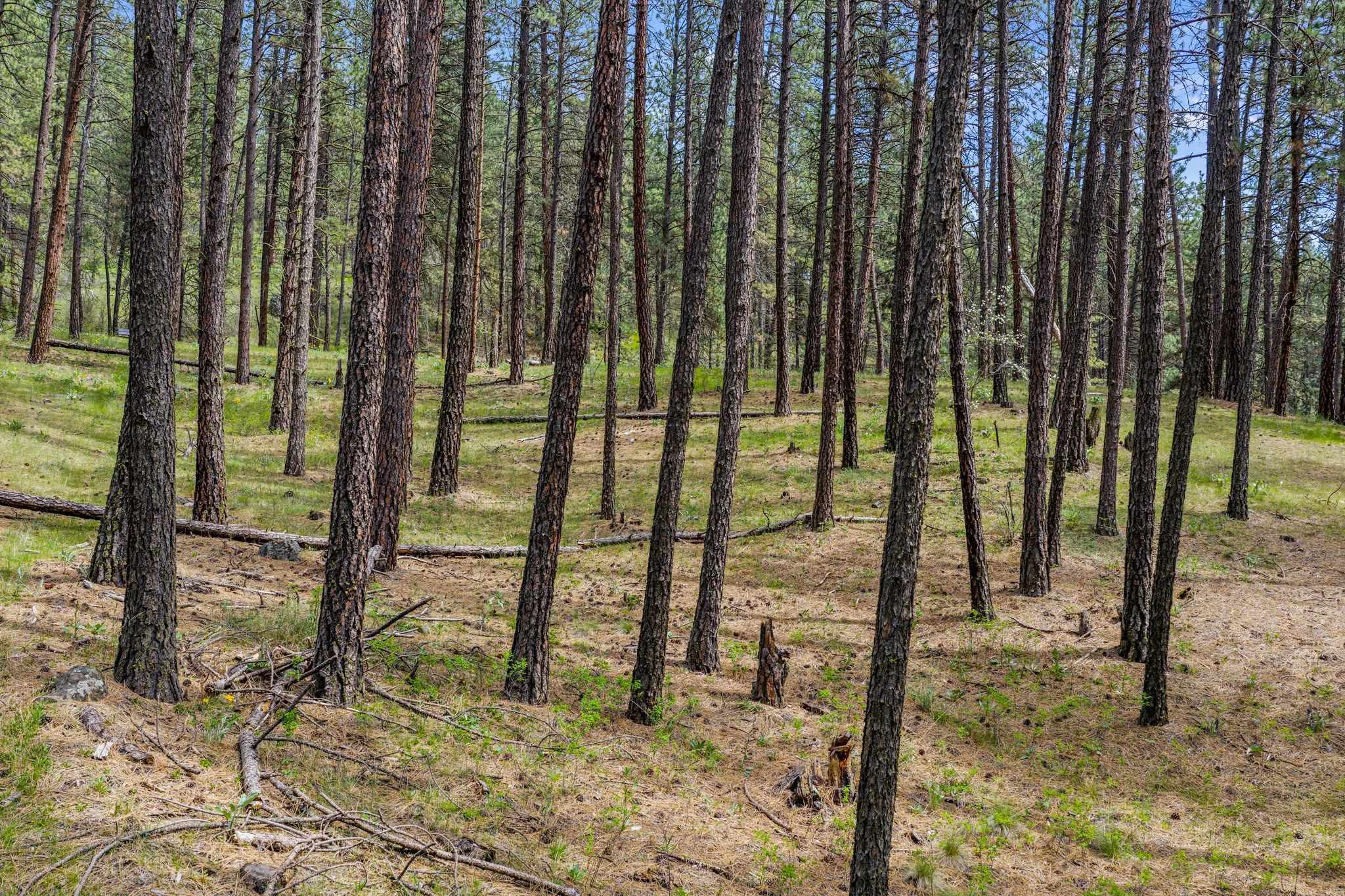 10709 S Hangman Valley Rd - Photo 39