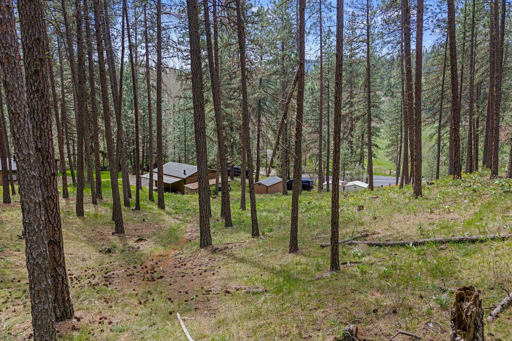 10709 S Hangman Valley Rd - Photo 40