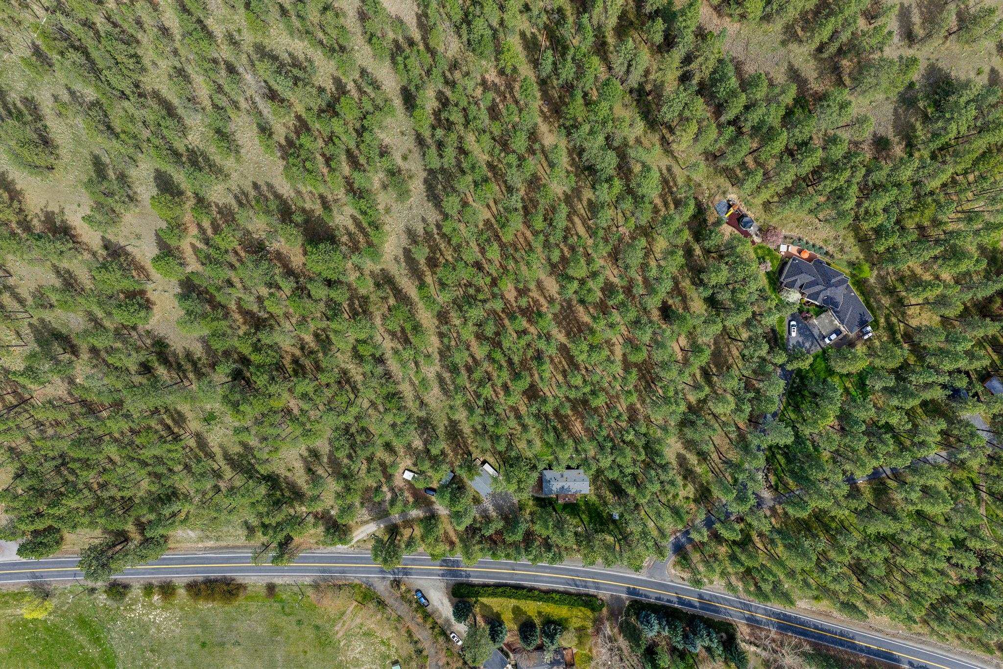 10709 S Hangman Valley Rd - Photo 44