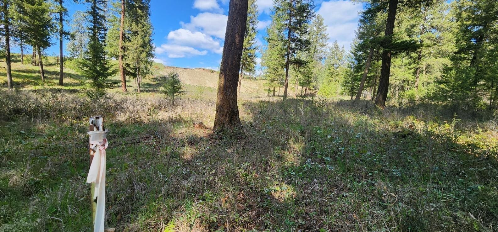 780 Gillette Rd - Photo 26