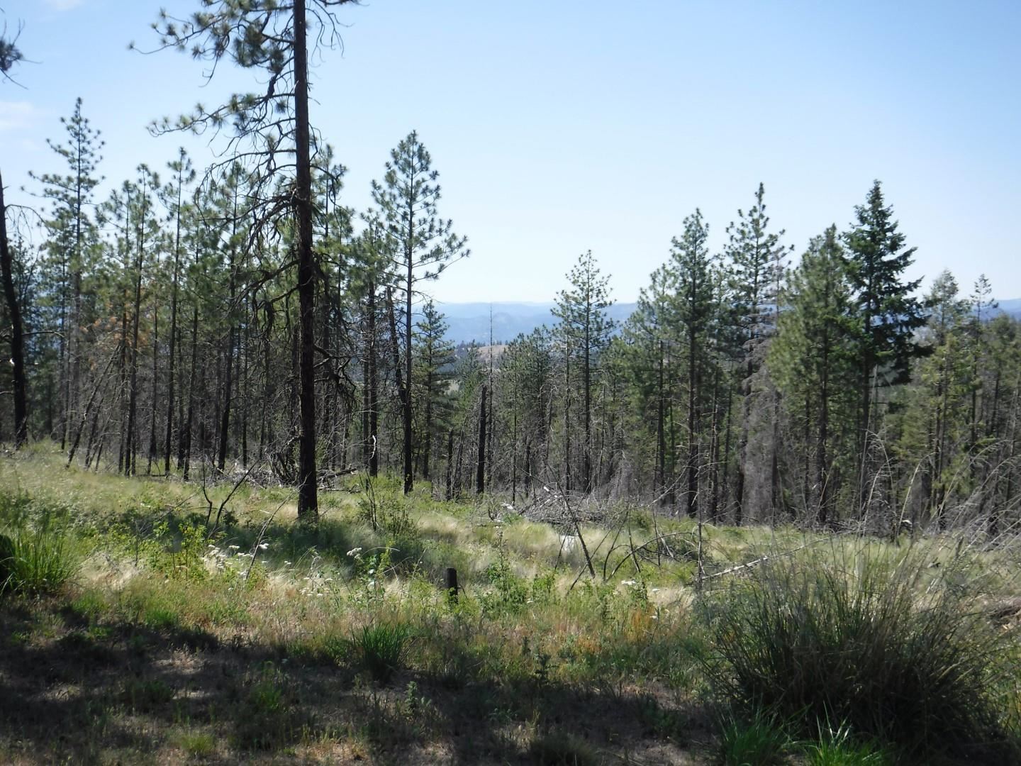 6066 Turk Rd - Photo 28