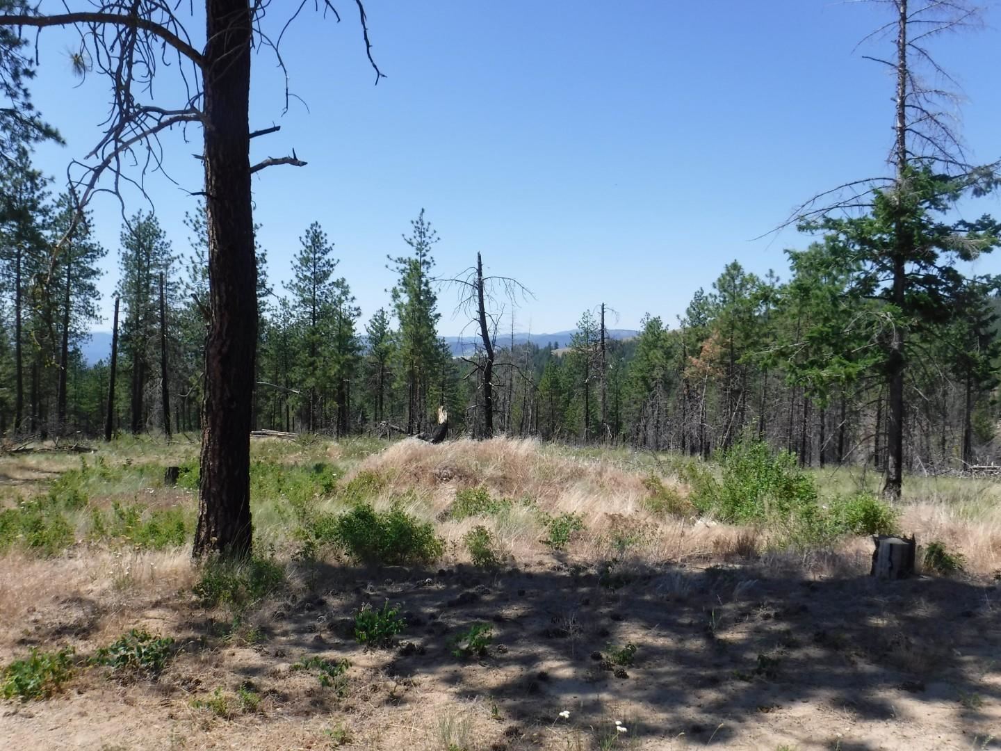 6066 Turk Rd - Photo 9
