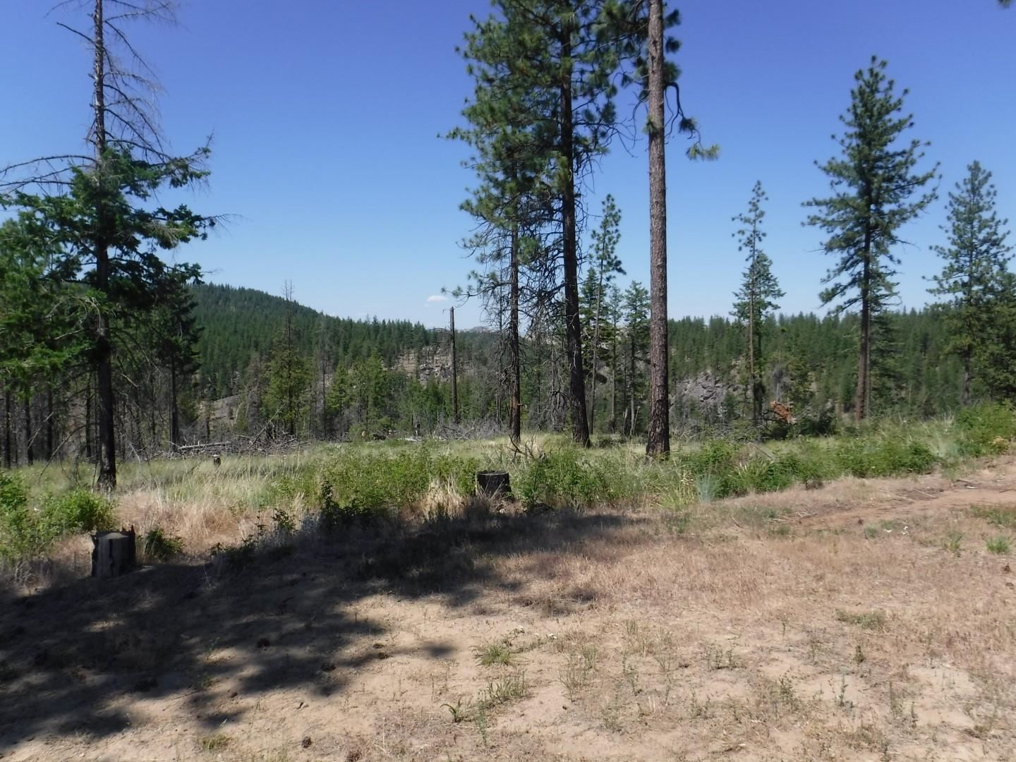 6066 Turk Rd - Photo 10