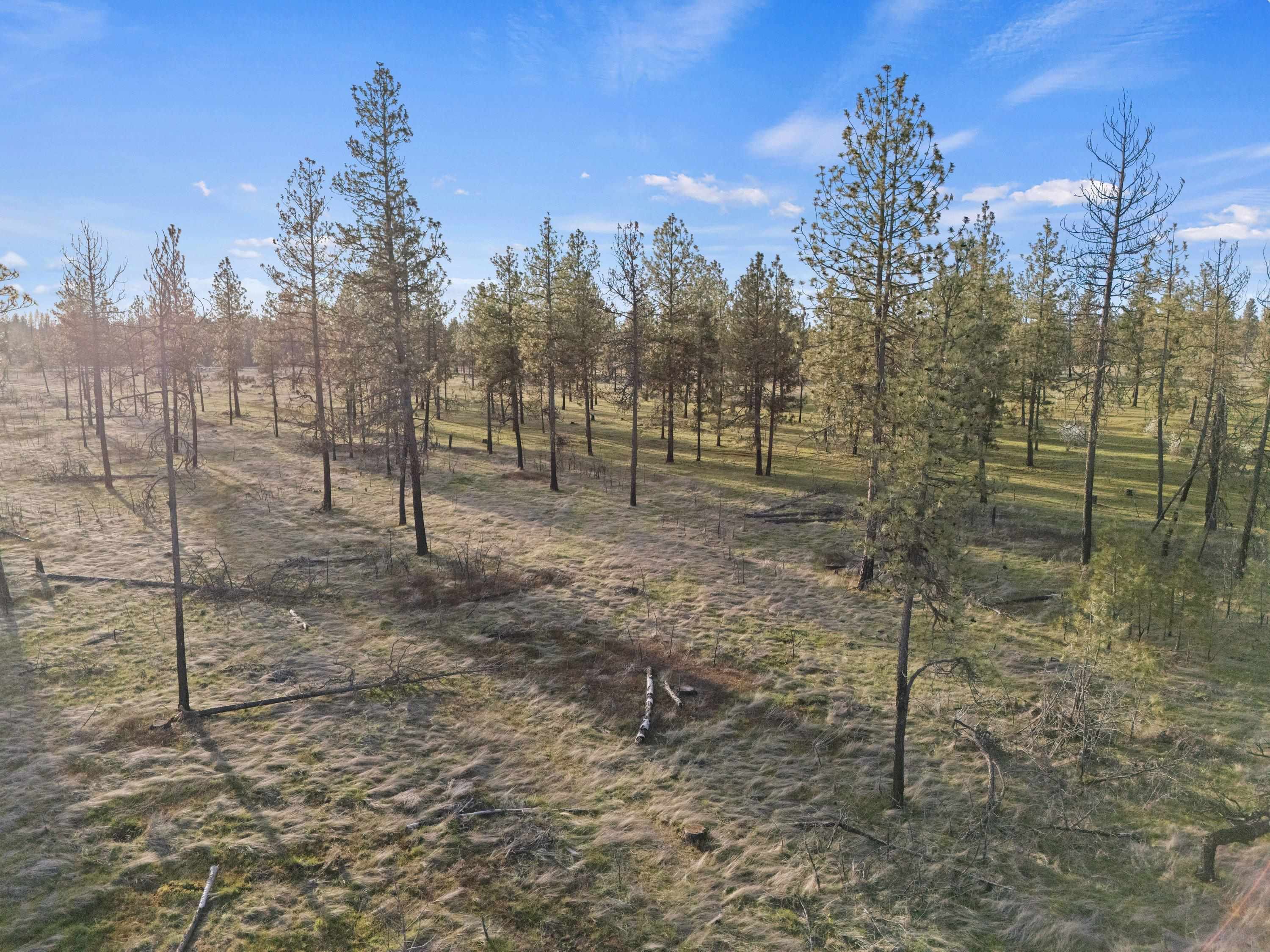 17212 S Brooks Rd - Photo 25