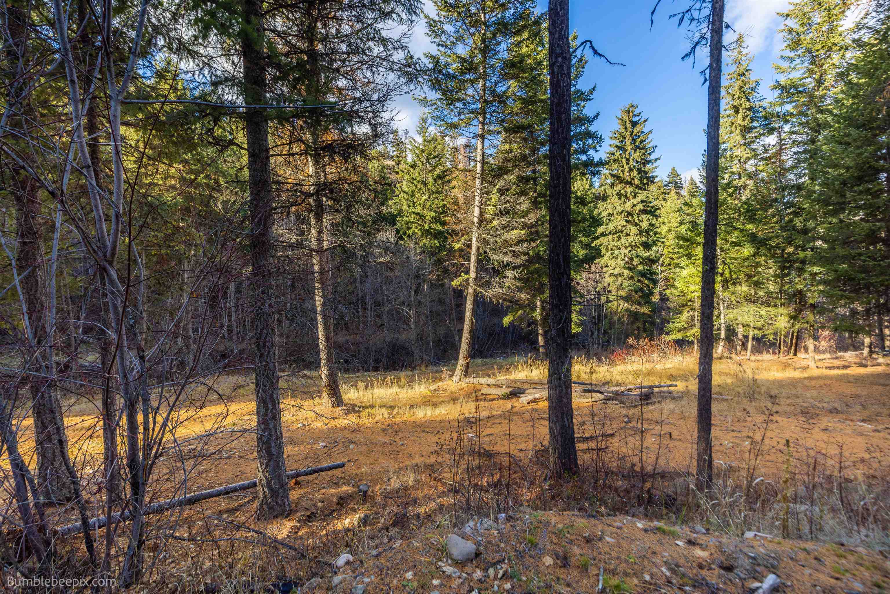 36 Quill Rd - Photo 29