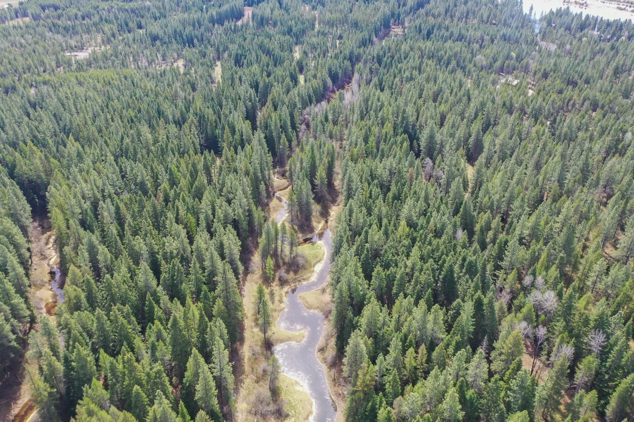 NKA Lenora Dr - Photo 19