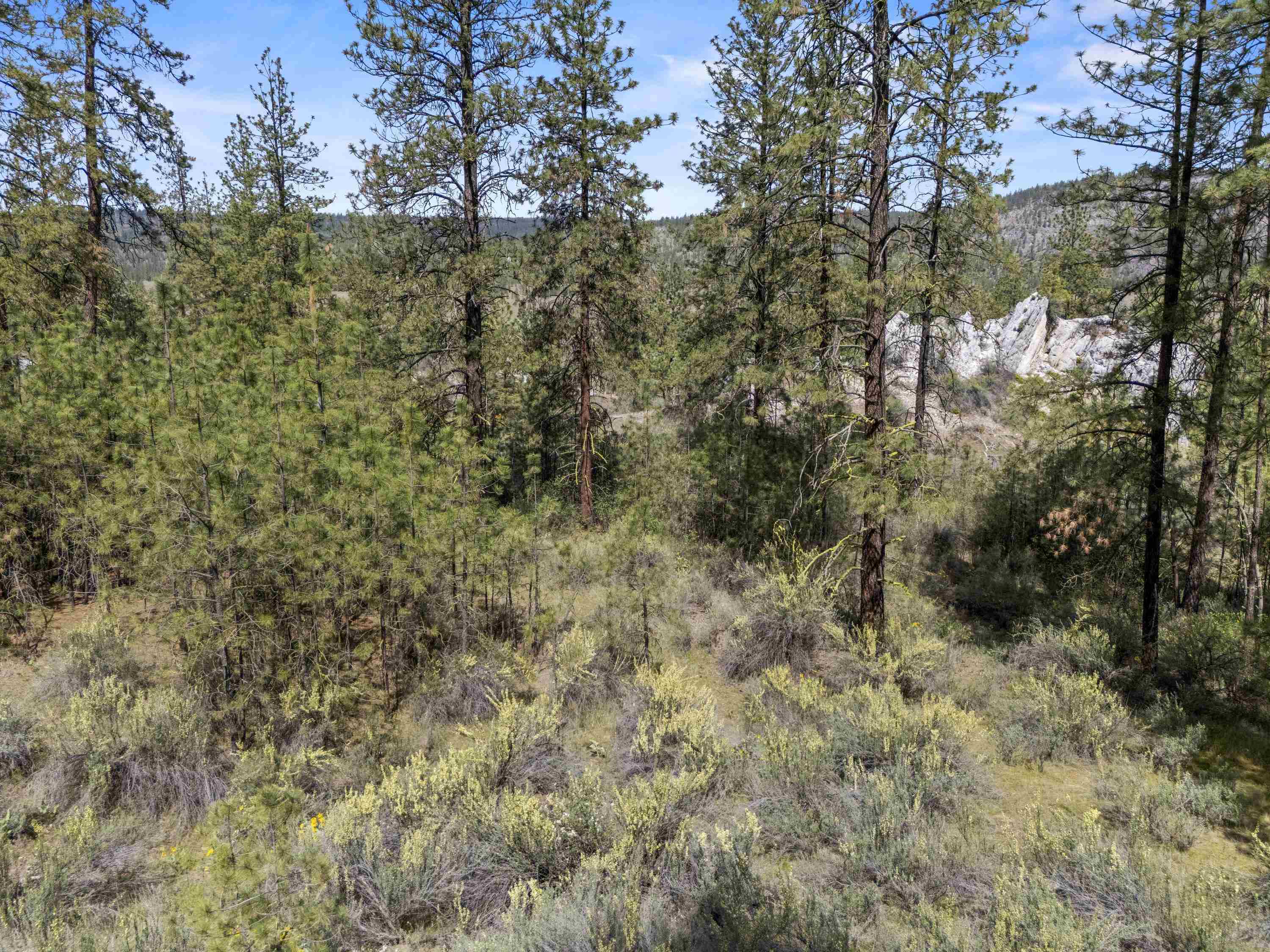 0 E Winterwood Ln - Photo 13