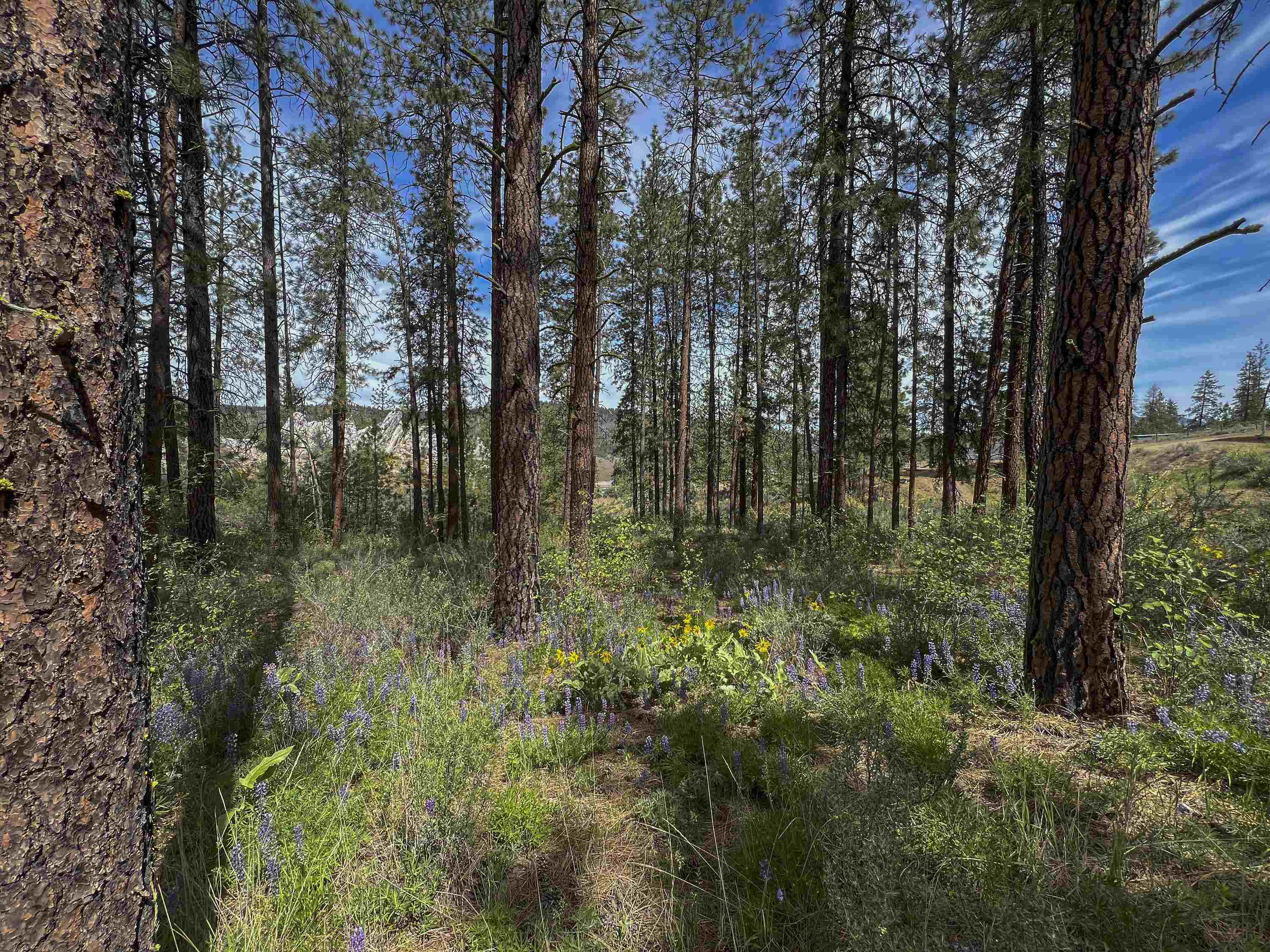 0 E Winterwood Ln - Photo 16