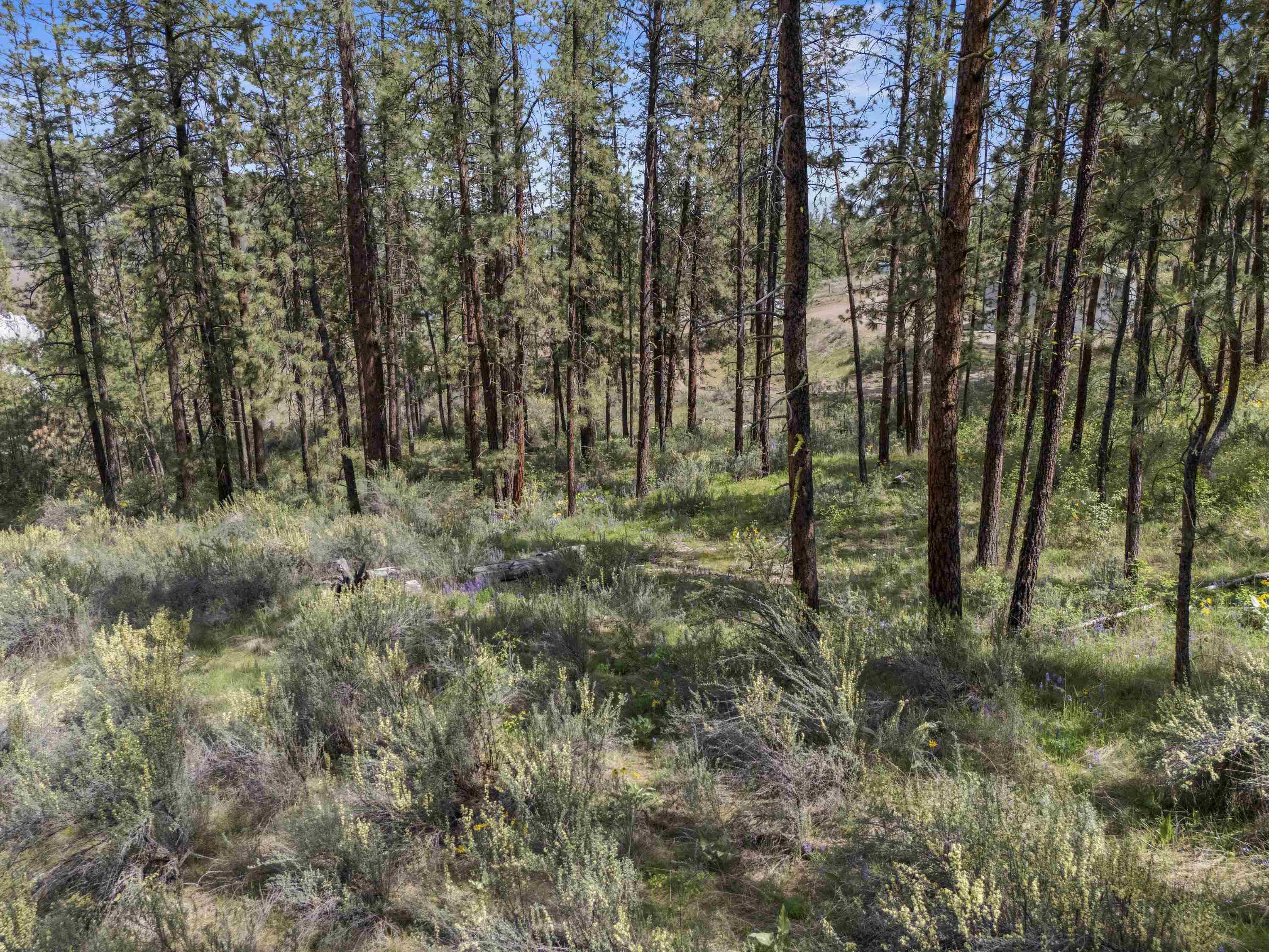 0 E Winterwood Ln - Photo 20