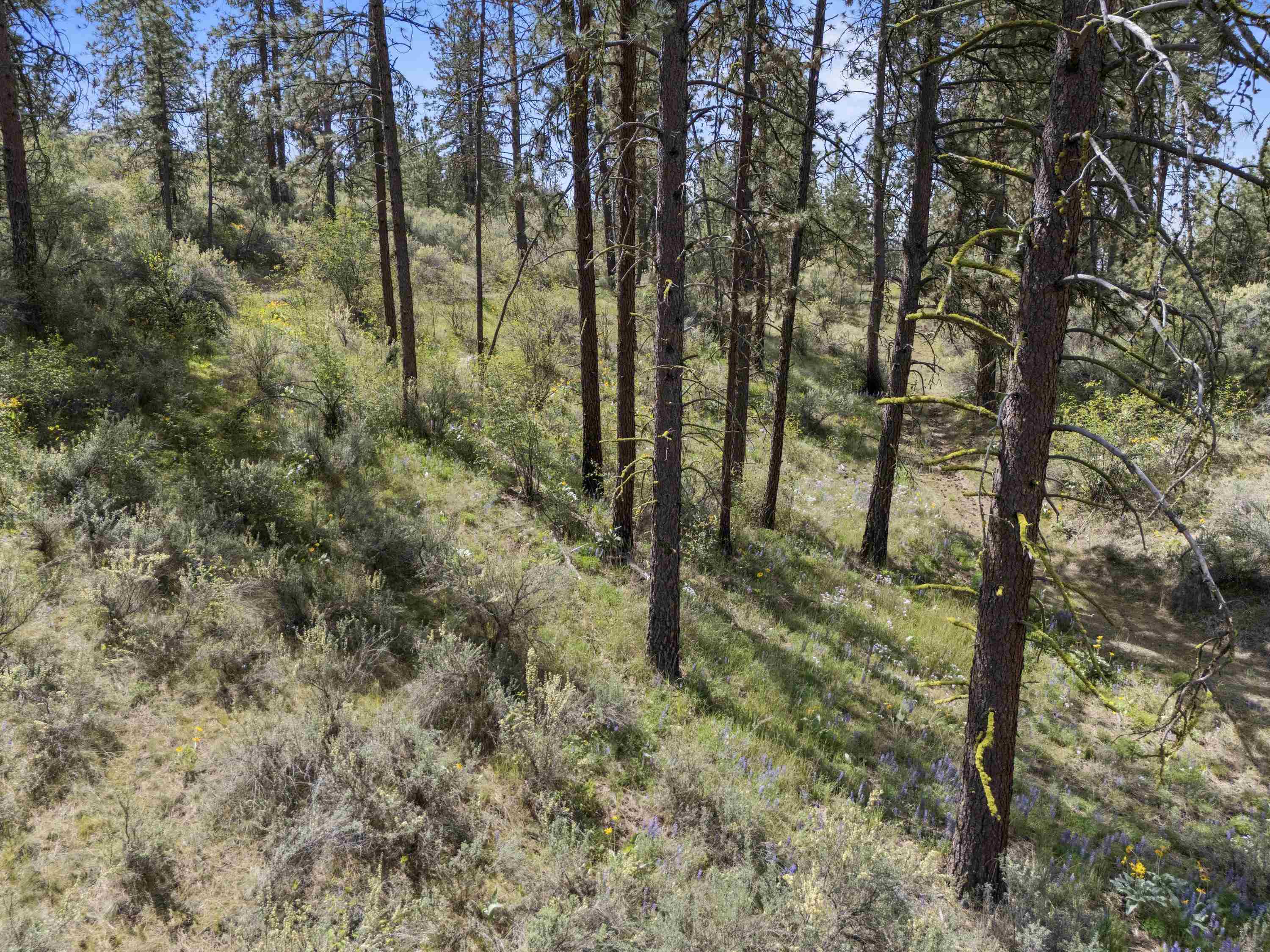 0 E Winterwood Ln - Photo 21