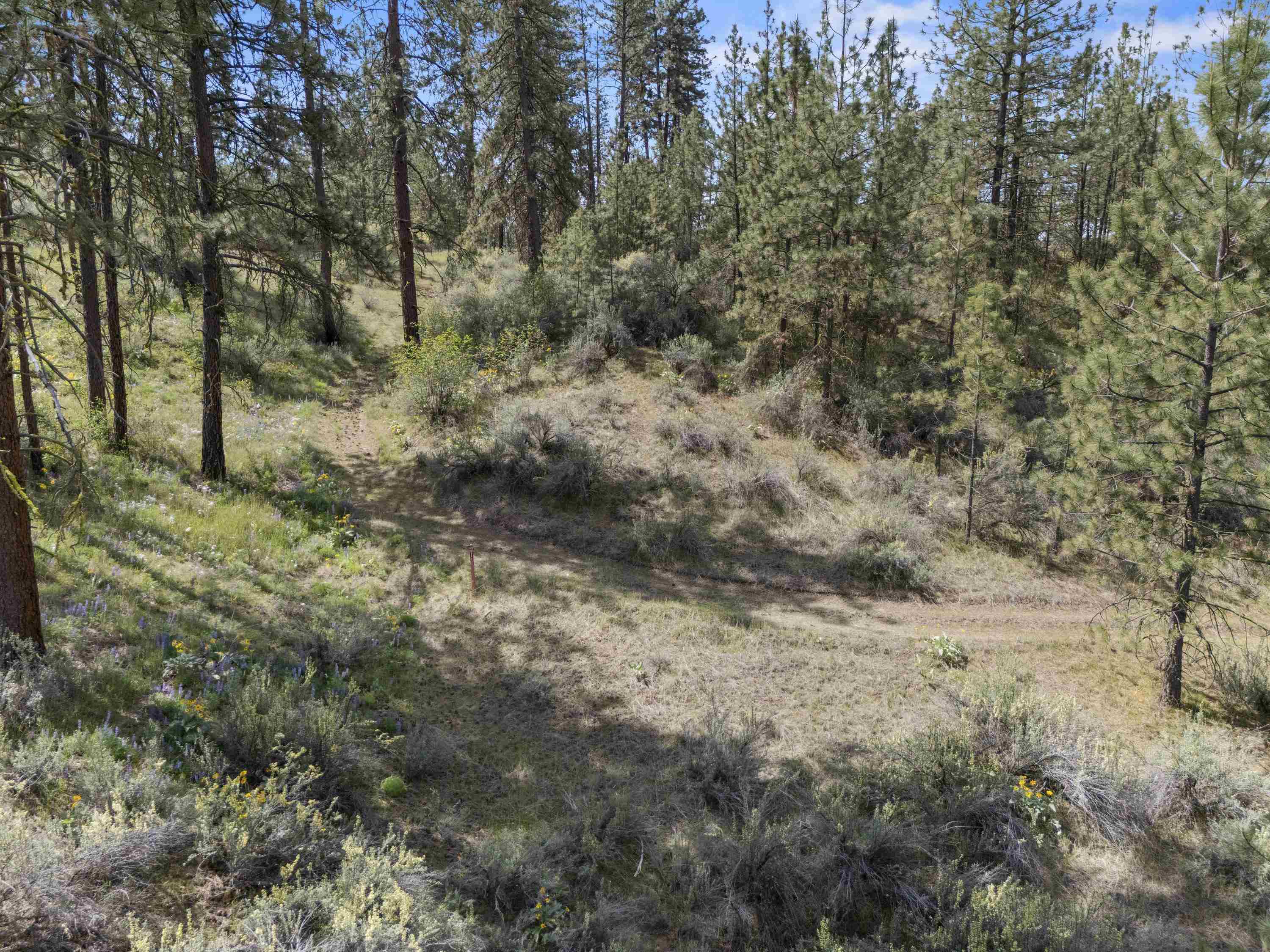 0 E Winterwood Ln - Photo 22