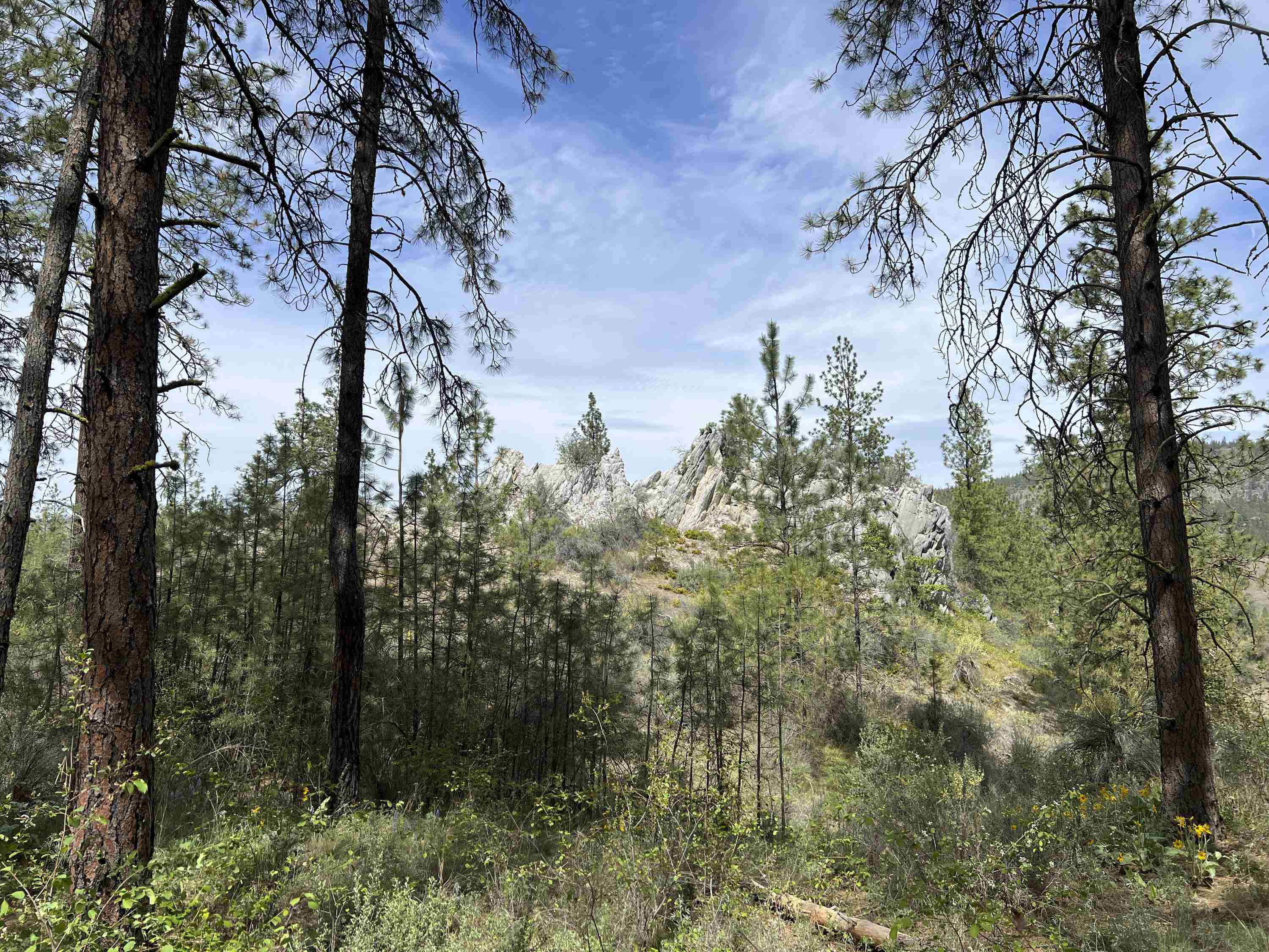 0 E Winterwood Ln - Photo 25