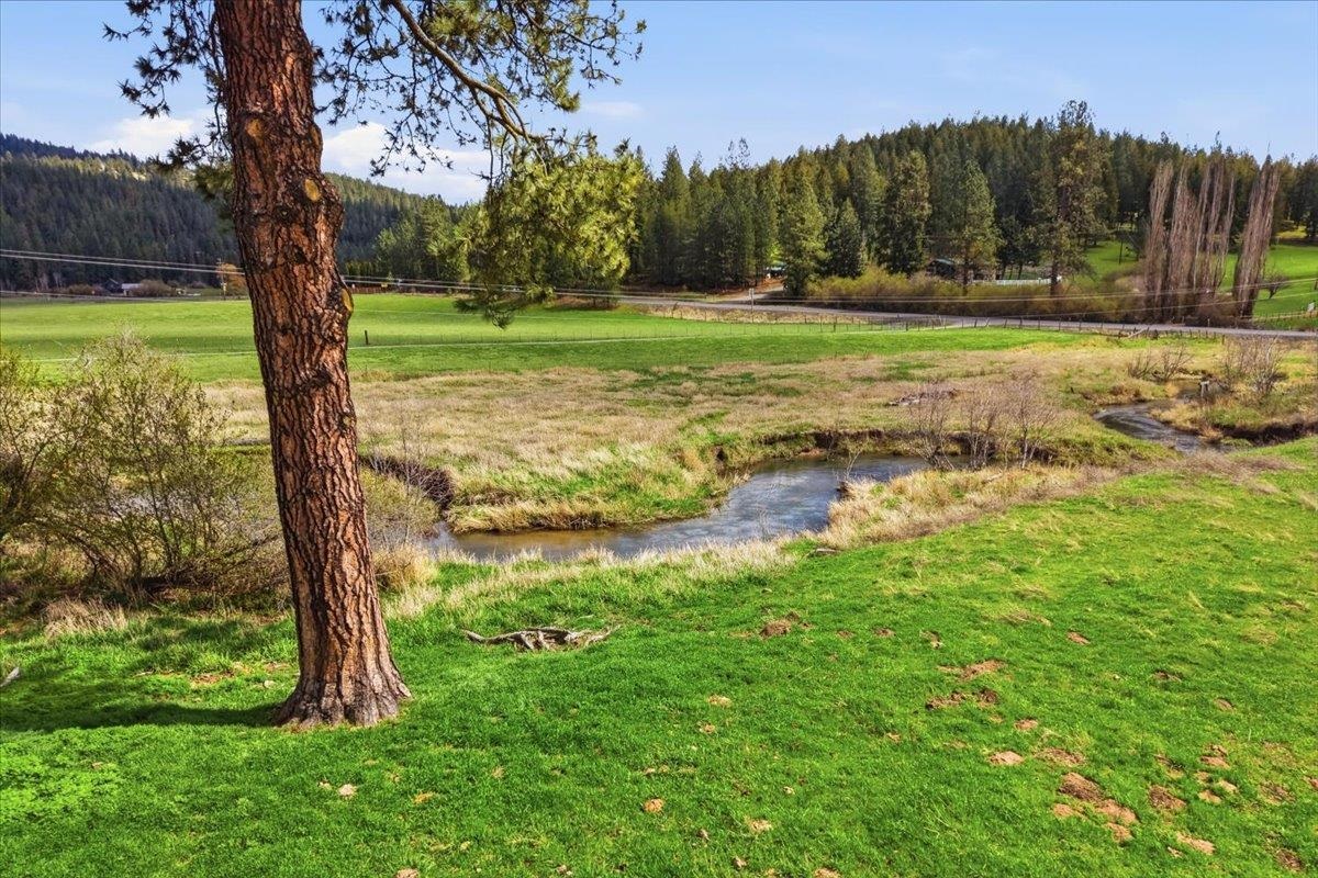 13711 E Mt. Spokane Park Dr - Photo 10