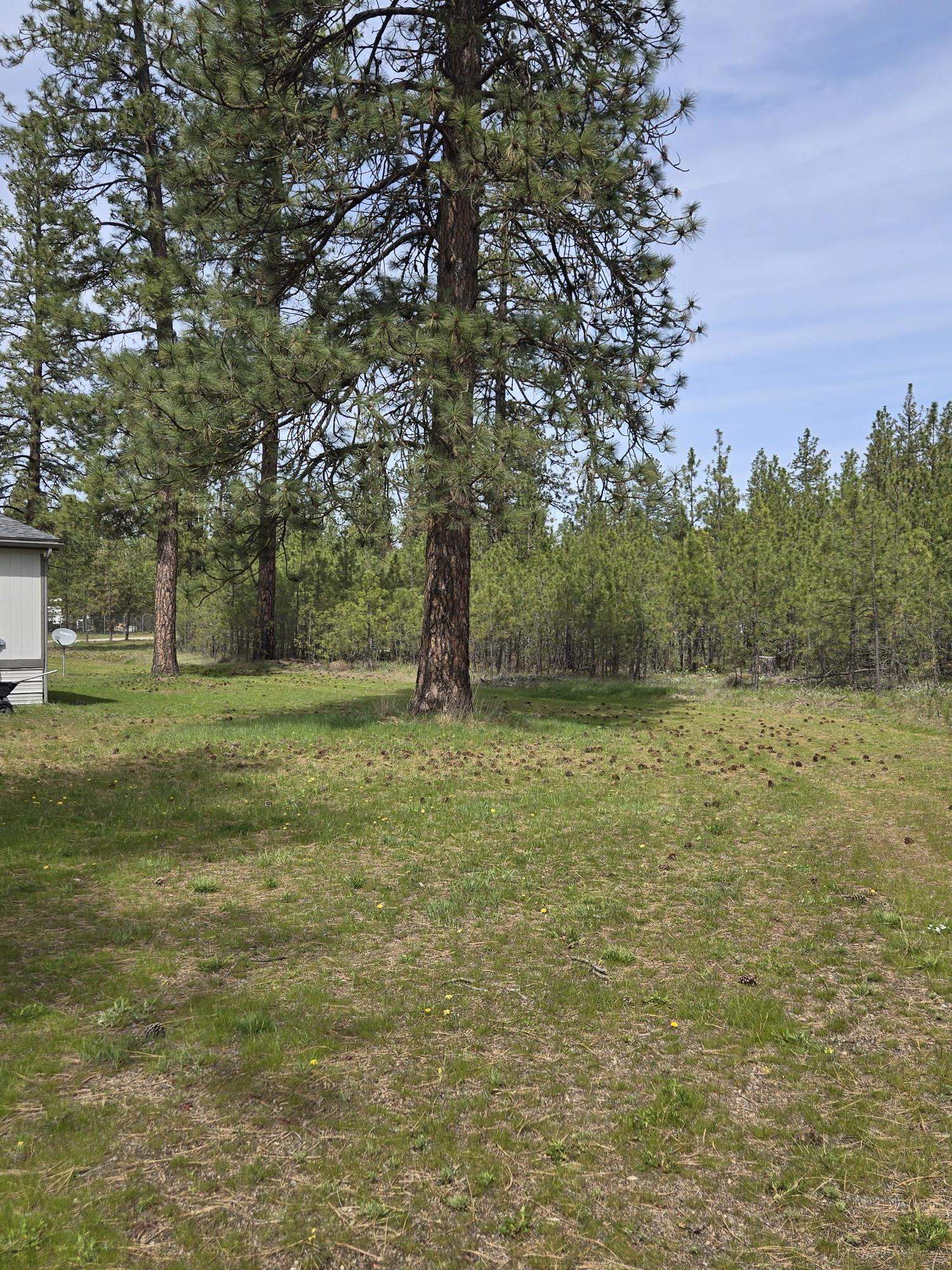 26810 N Regal Ln - Photo 40