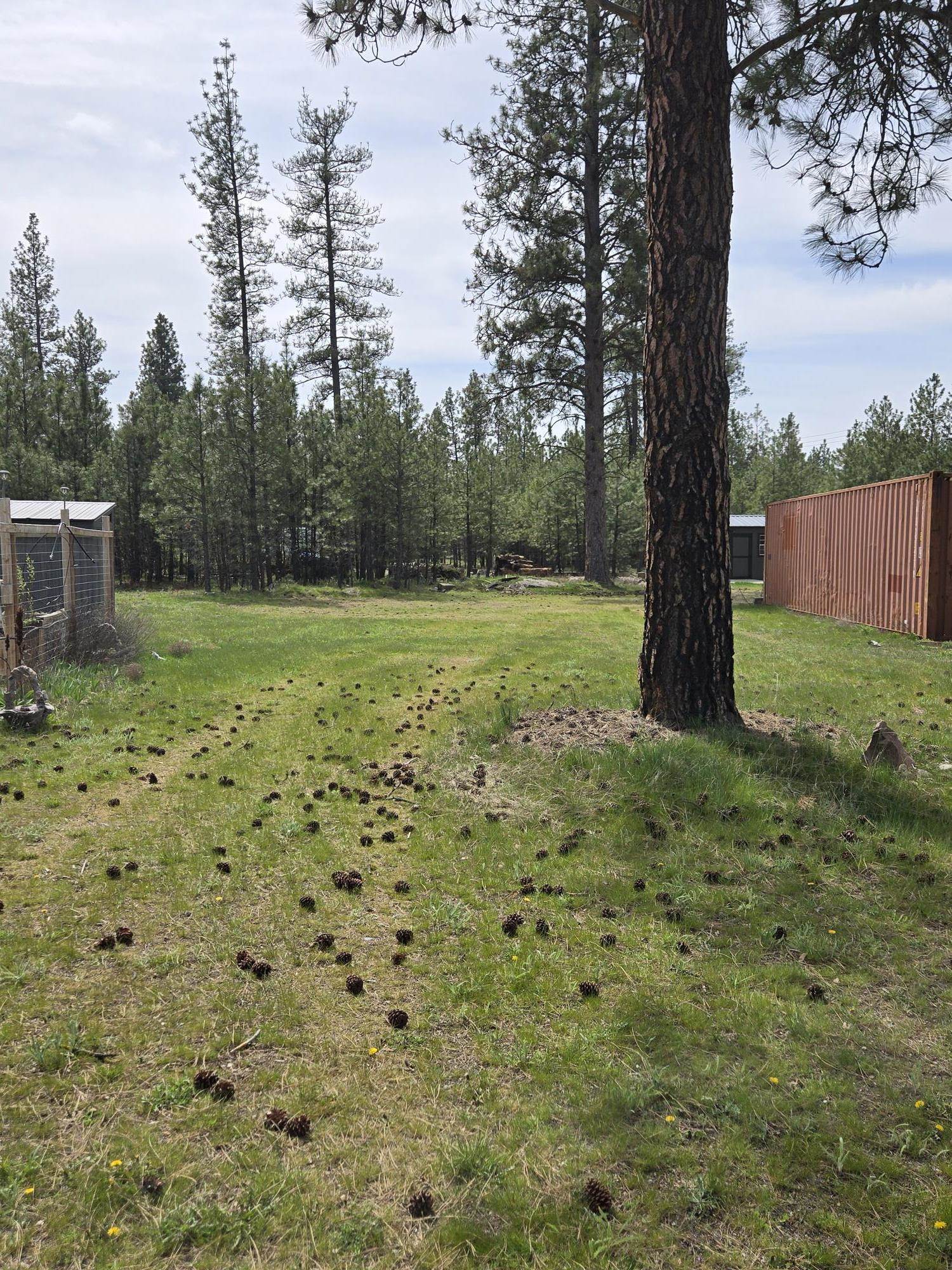 26810 N Regal Ln - Photo 42
