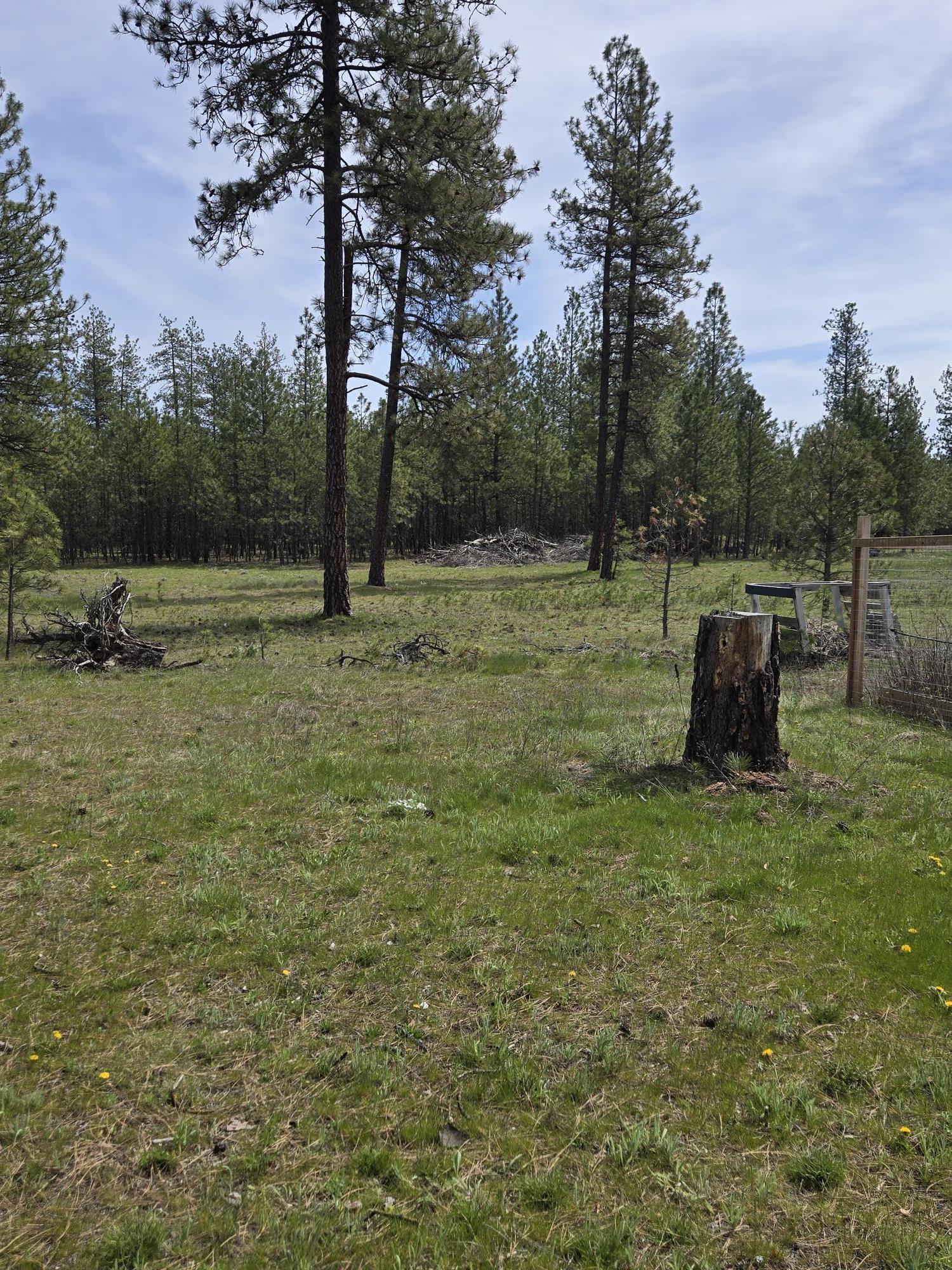 26810 N Regal Ln - Photo 43