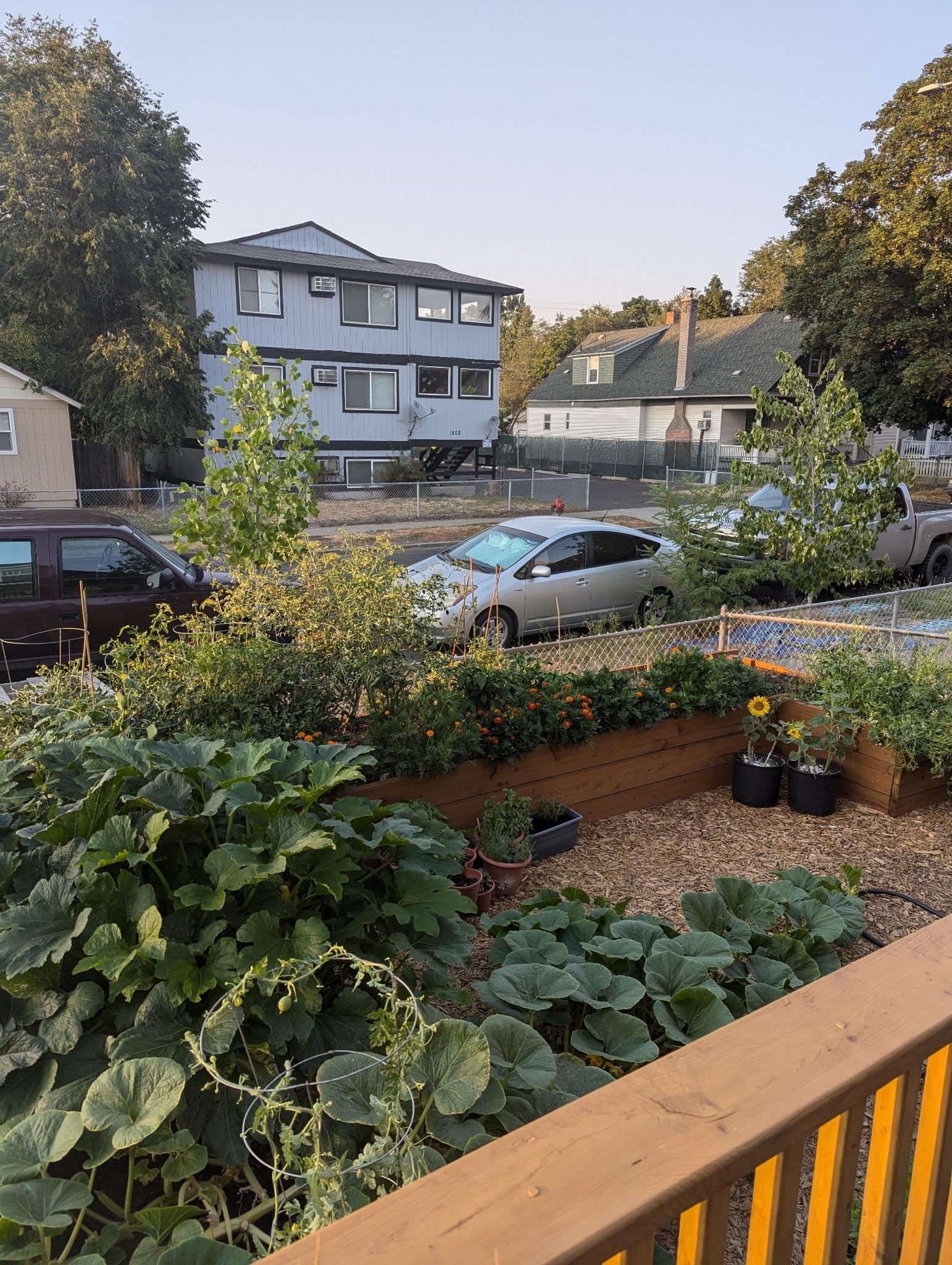 1805 W Gardner Ave - Photo 5