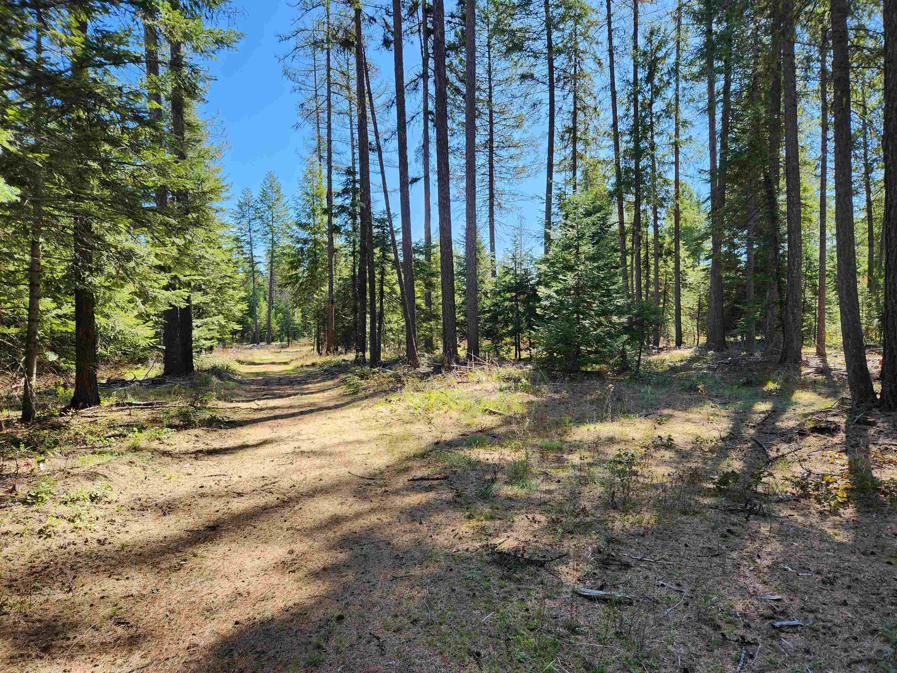 4849 Getna Way - Photo 40