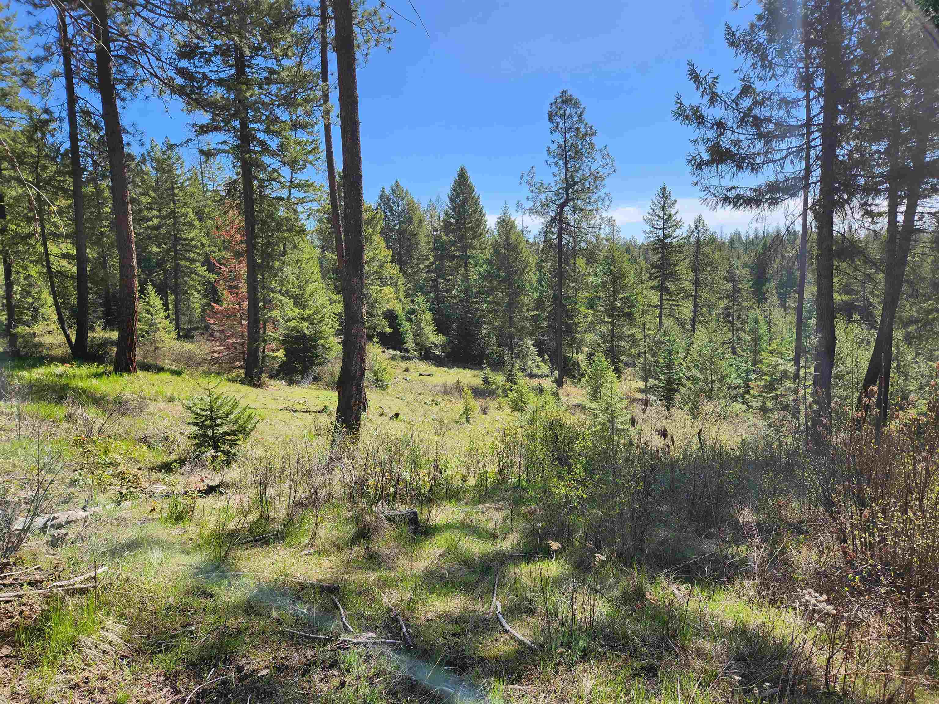 4849 Getna Way - Photo 41