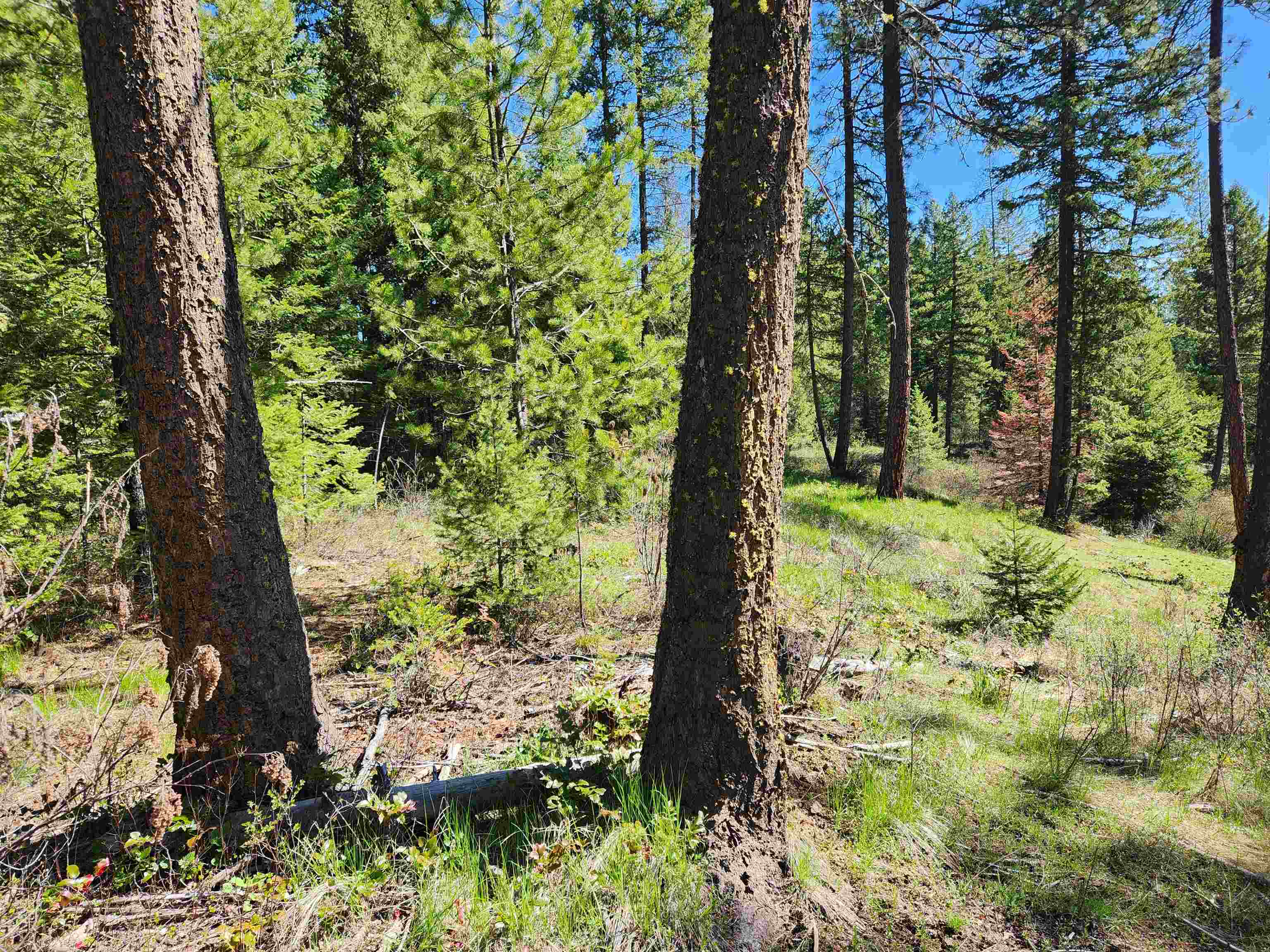 4849 Getna Way - Photo 42